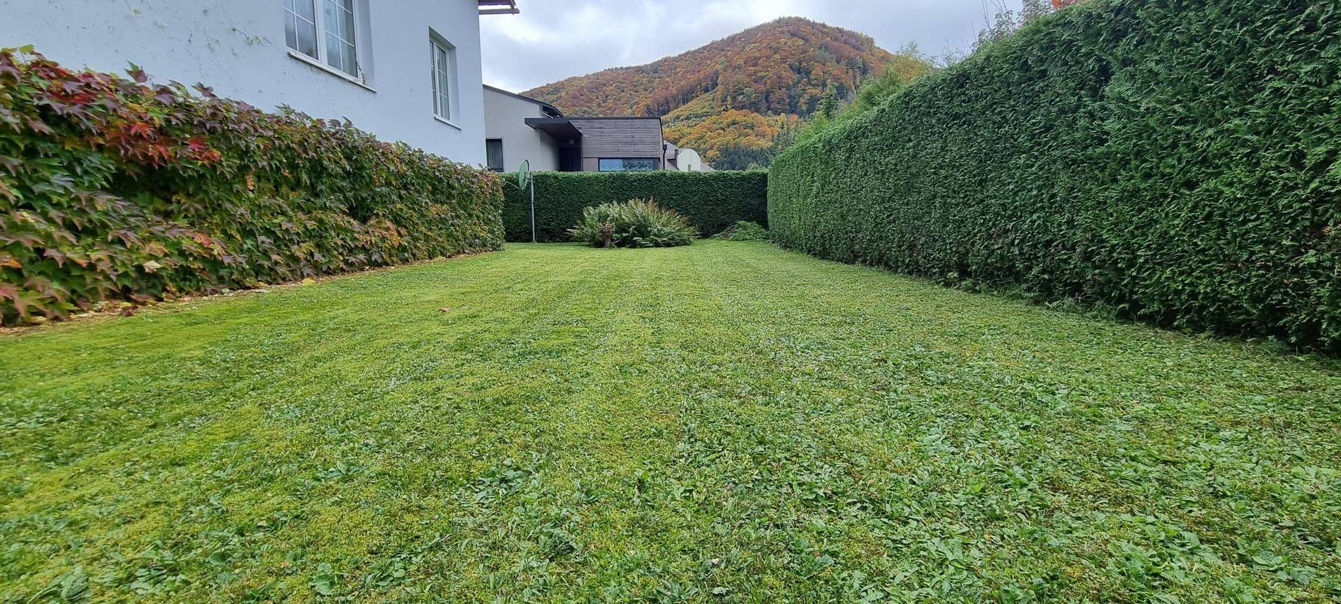 Großer Rasenbereich zwischen Haus und hoher Hecke mit Blick auf die Berge.
