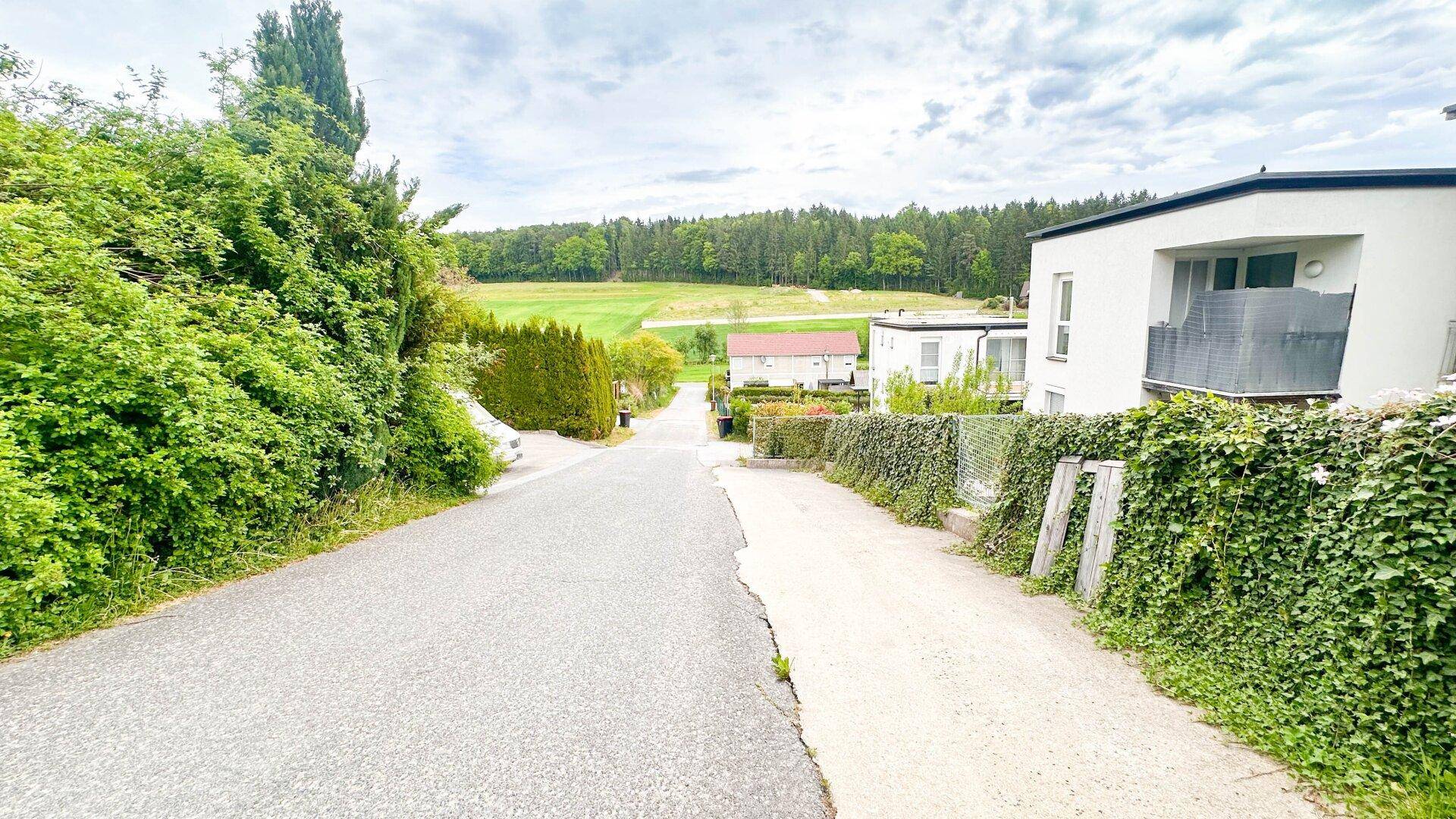 Zufahrtsstraße zu den modernen Wohngebäuden, umgeben von üppigem Grün und ländlicher Idylle.