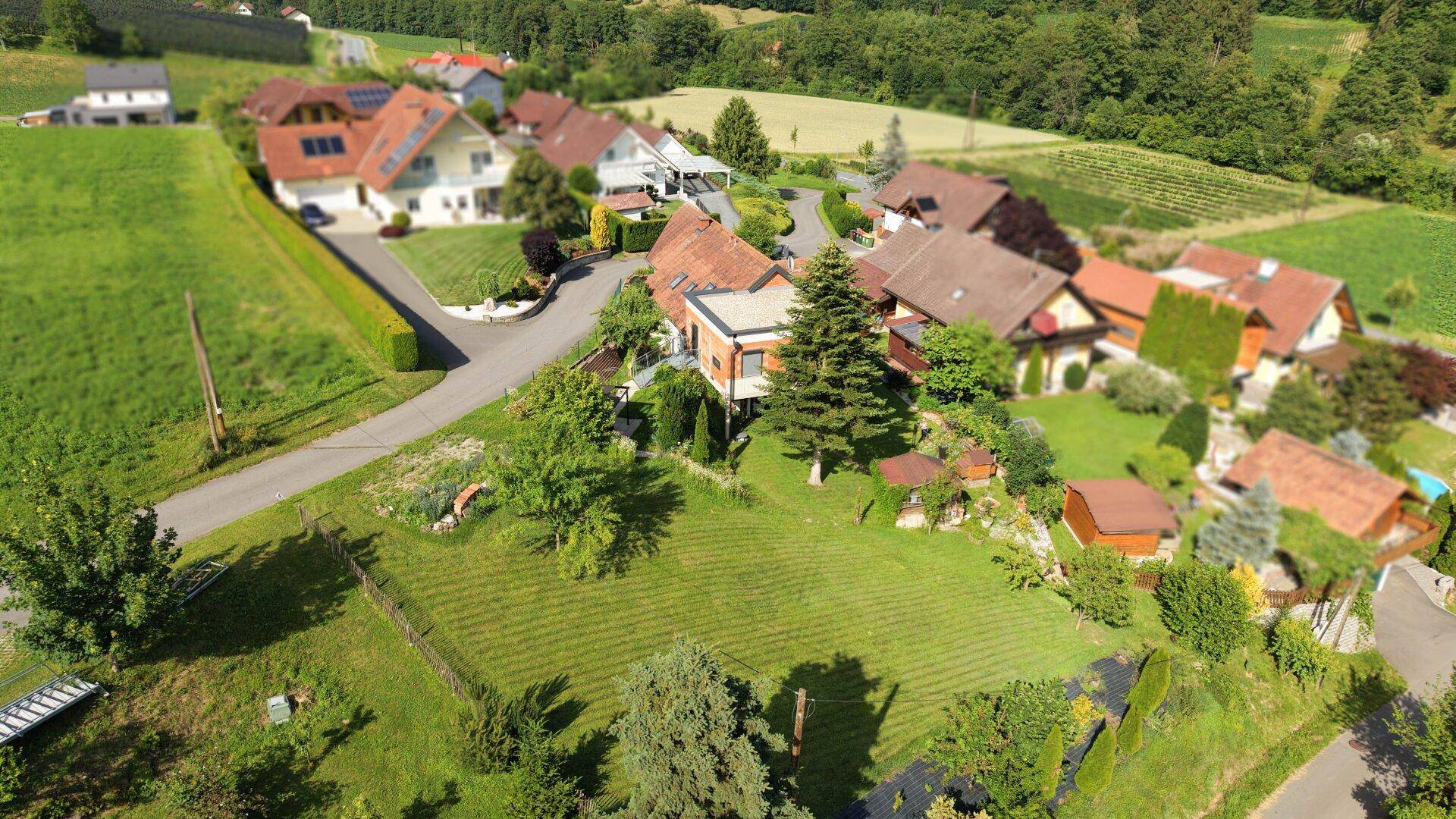 Panoramablick aus der Luft auf eine ländliche Wohngegend mit Weinbergen in der Ferne.