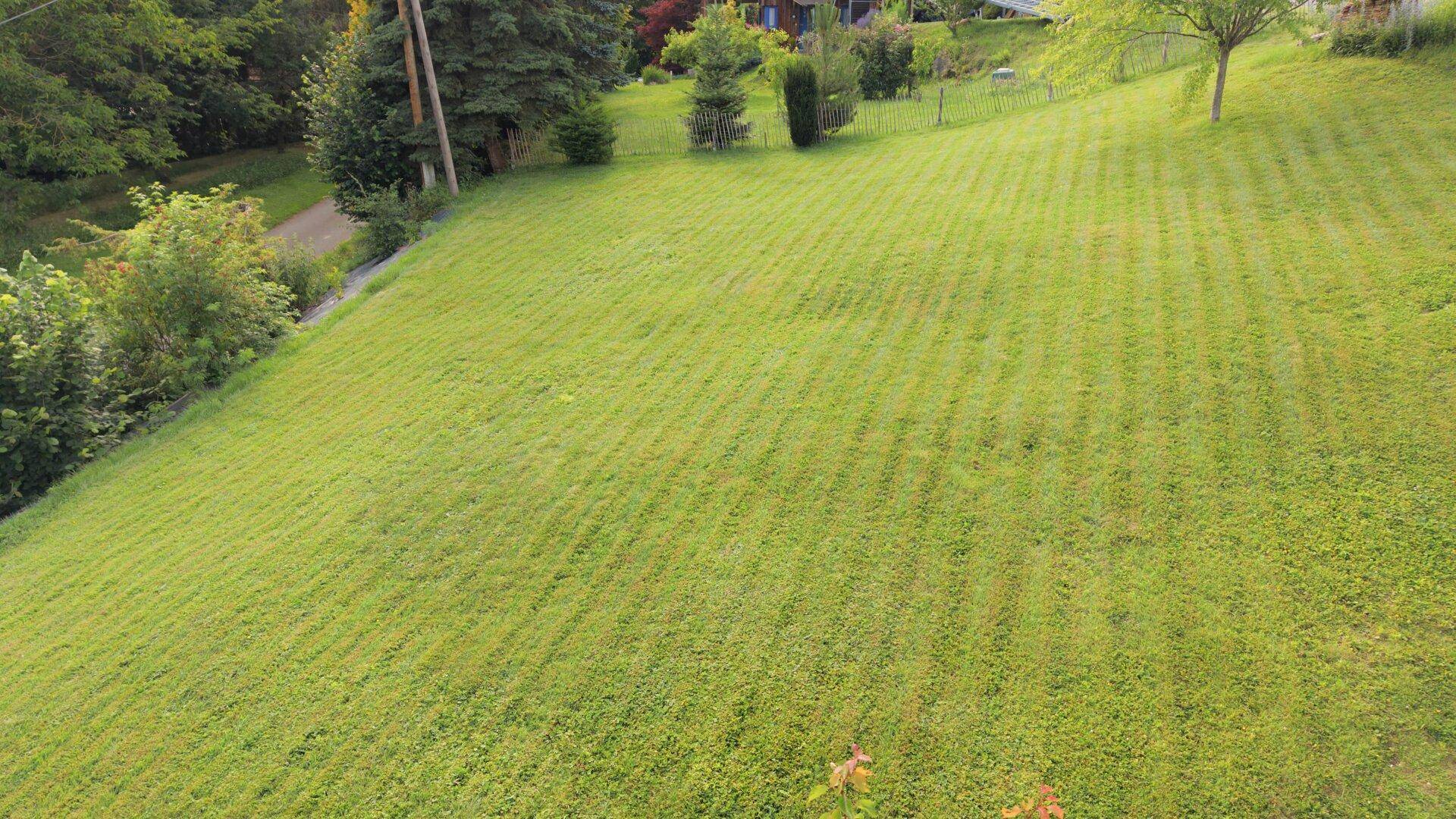 Nahaufnahme einer frisch gemähten, grünen Rasenfläche im Gartenbereich des Anwesens.