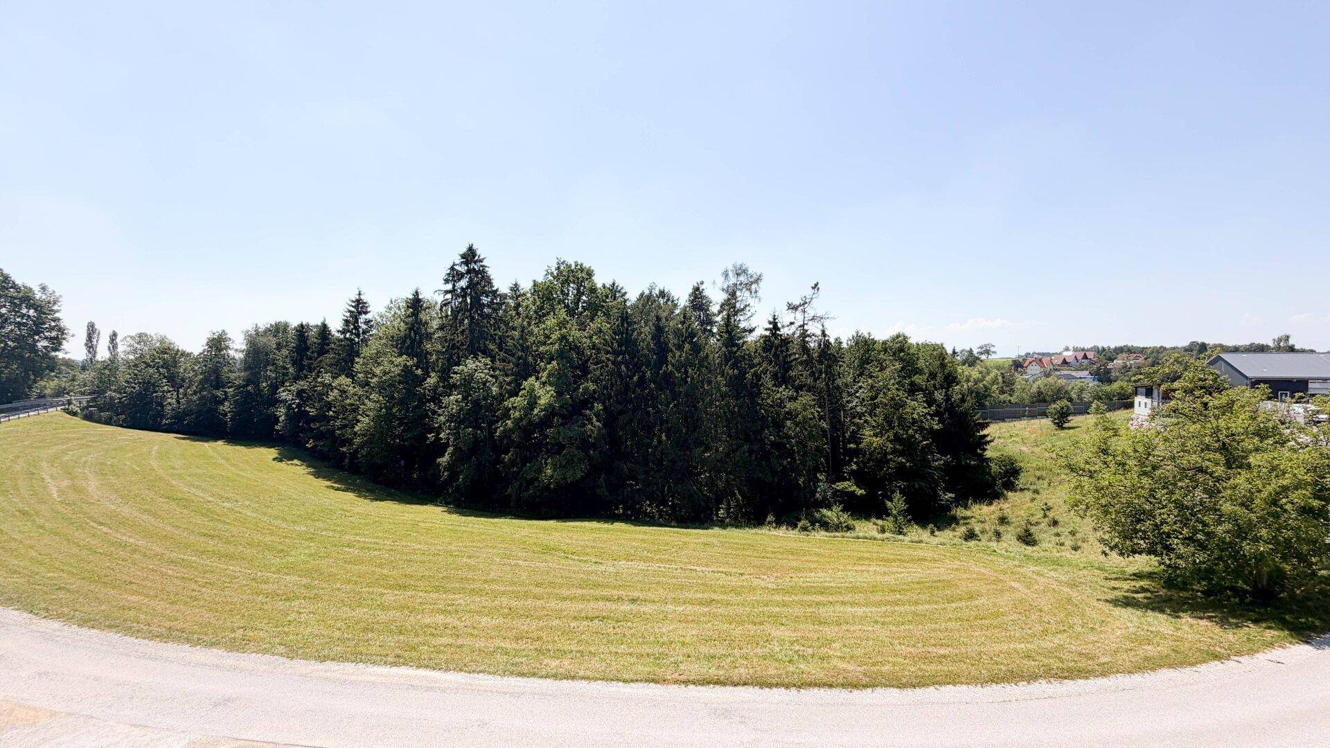 Weitläufige grüne Wiesenlandschaft mit einem Waldrand und Häusern in der Ferne unter klarem Himmel.