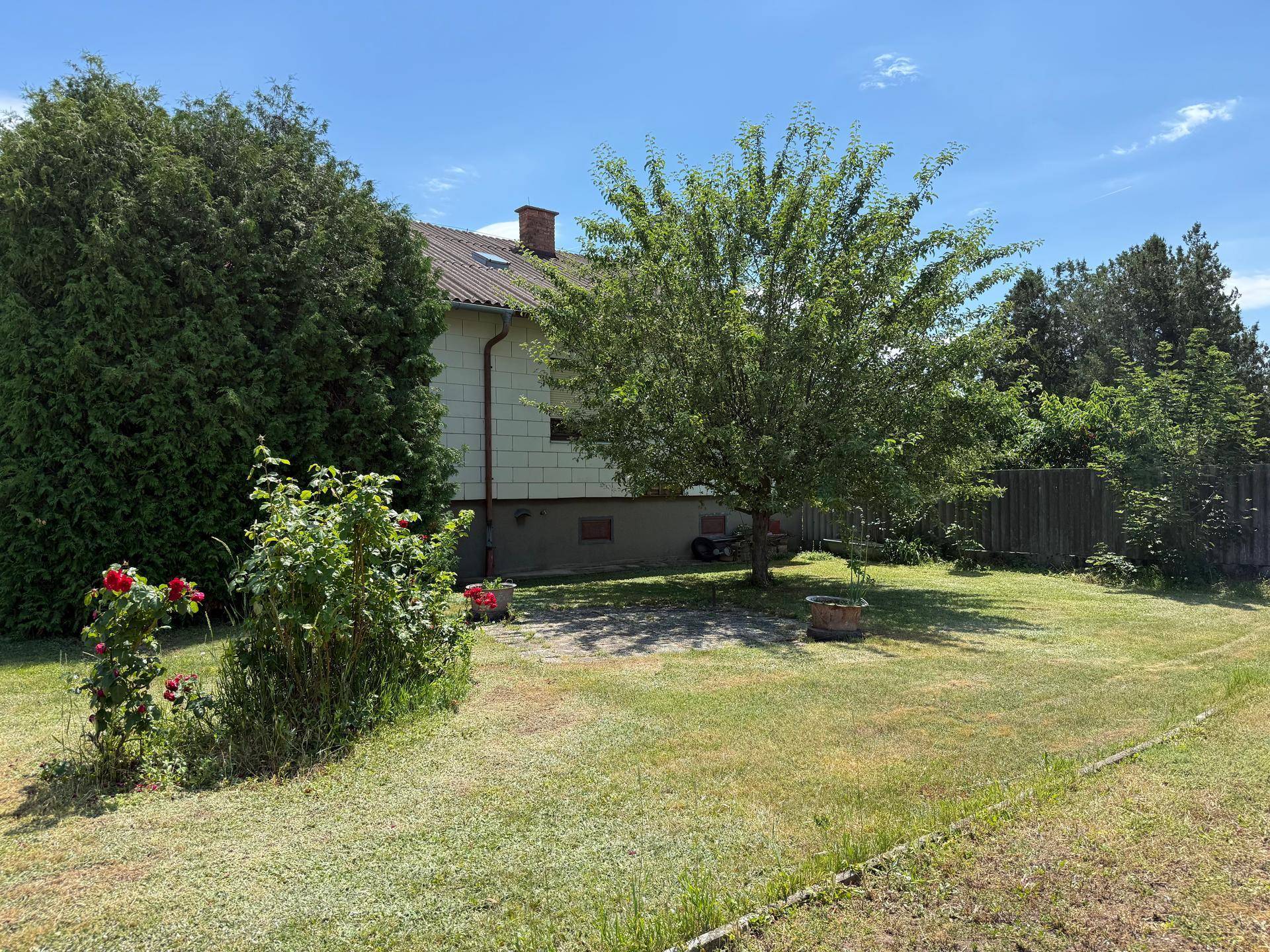 Gepflegter Gartenbereich hinter dem Haus mit Rasenfläche, Obstbaum und Rosenbüschen.