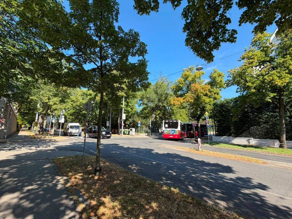 Sonniger Blick auf eine von Bäumen gesäumte Straße mit vorbeifahrenden Fahrzeugen.
