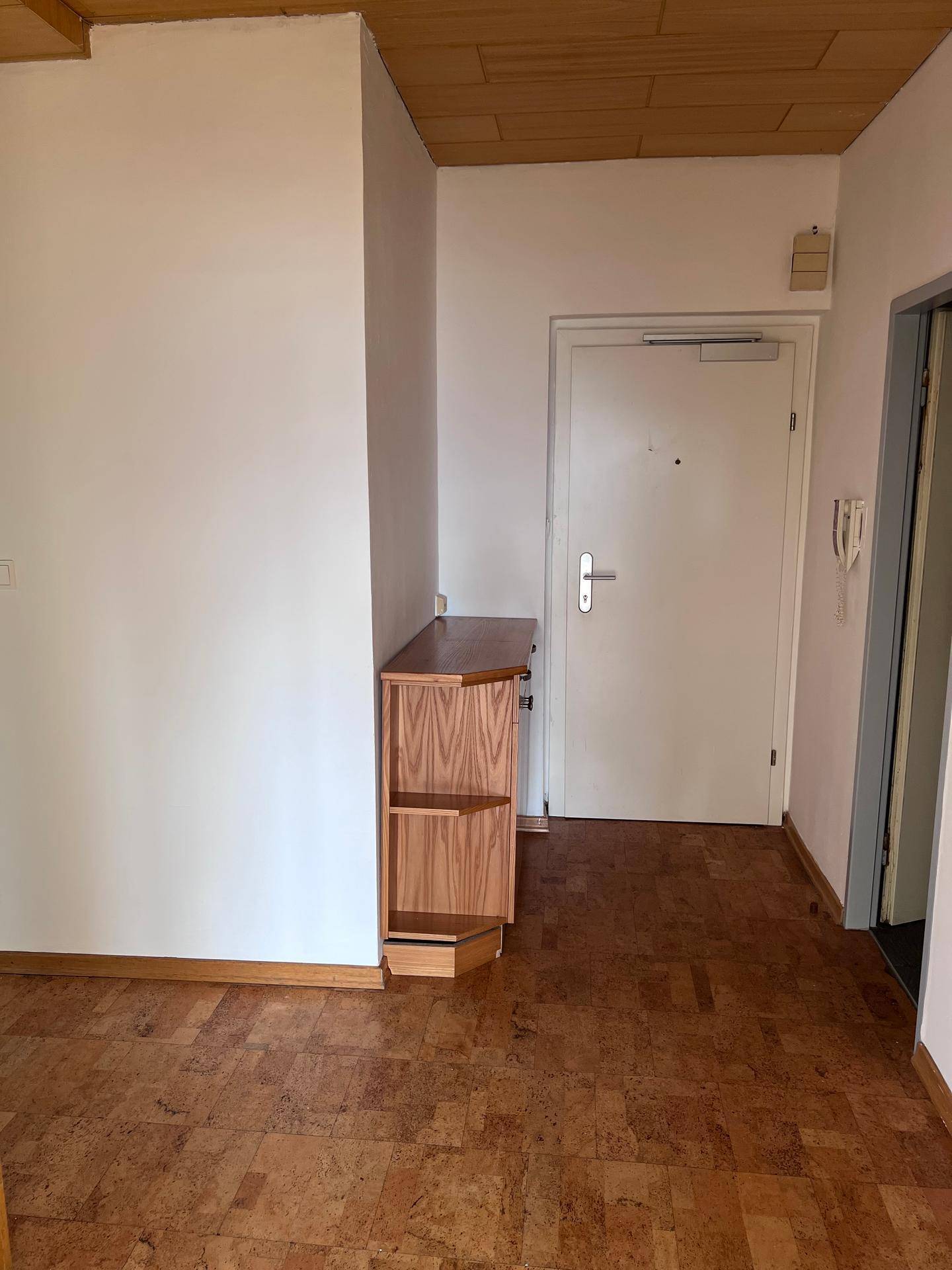 Eingangsbereich mit Holzboden, weiß gestrichenen Wänden und einer Sicherheitstür, hell und gepflegt.