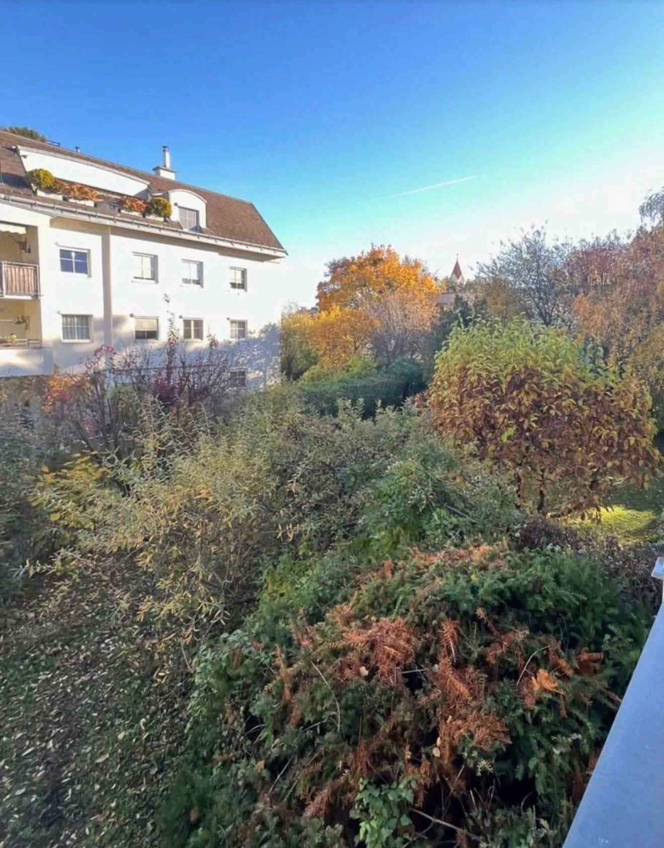 Weitläufiger Blick auf herbstliche Bäume und umliegende Gebäude unter blauem Himmel.