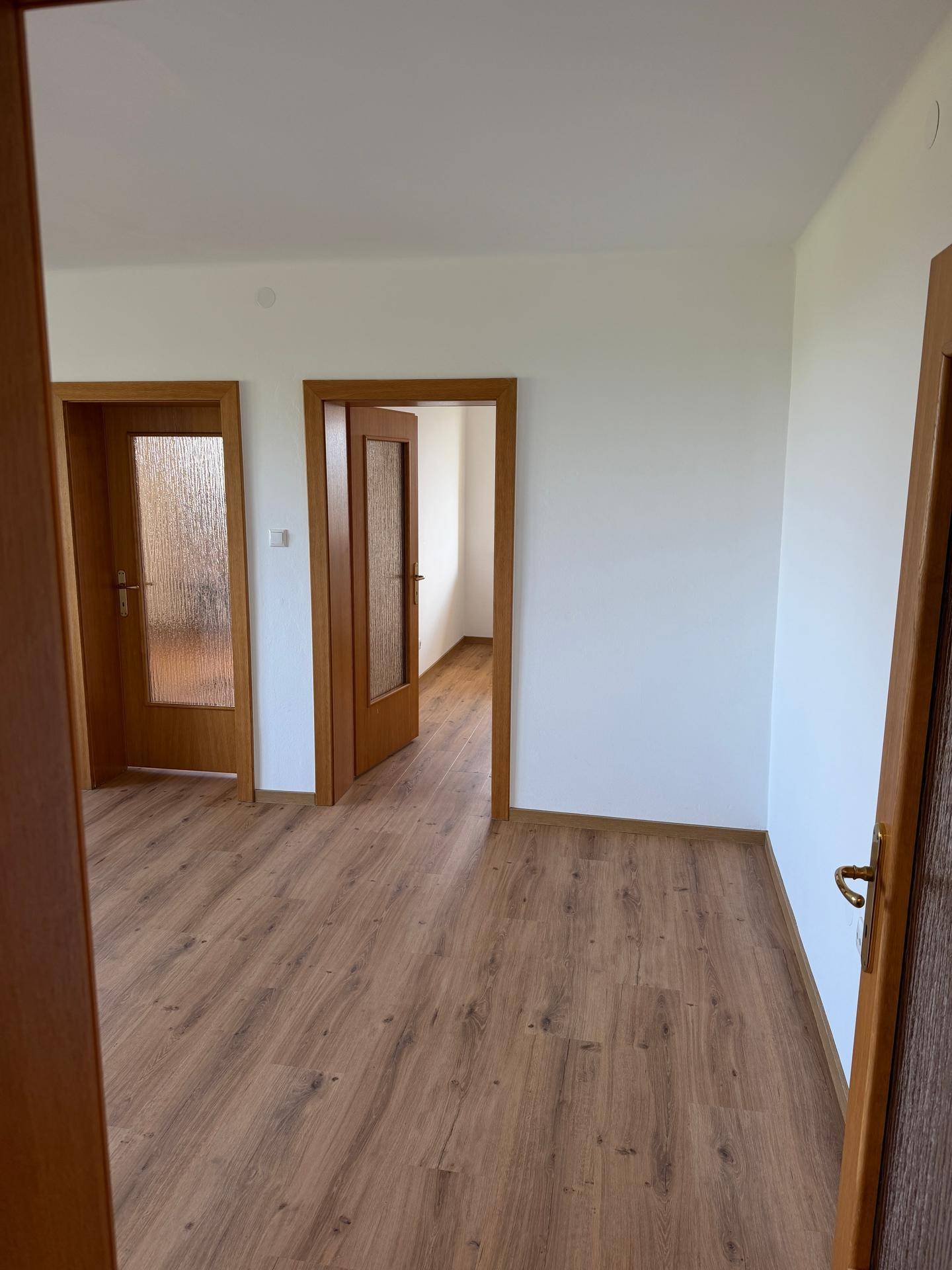 Heller Flur mit Laminatboden und Holztüren, der den Zugang zu mehreren Zimmern ermöglicht.