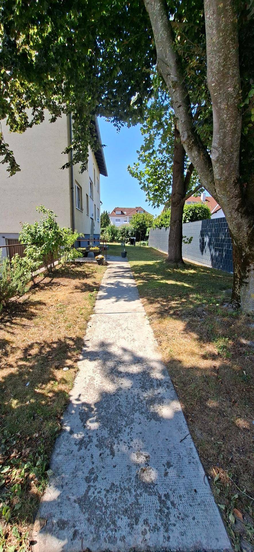 Betonweg im Gartenbereich mit hohen Bäumen und Blick auf das Gebäude unter blauem Himmel.