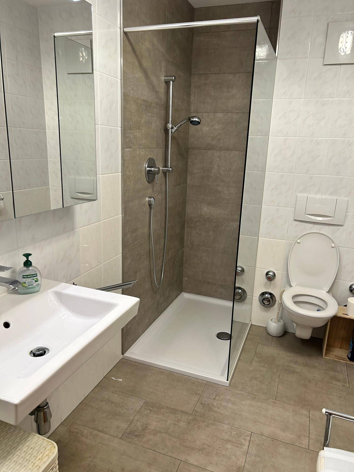 Modernes Badezimmer mit ebenerdiger Dusche, WC und einem einzelnen Waschbecken.