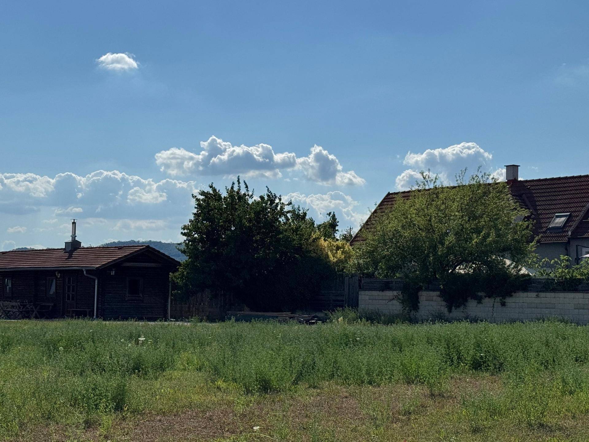 Blick über eine grüne Wiese auf eine charmante Holzhütte und weitere Häuser in der Ferne.
