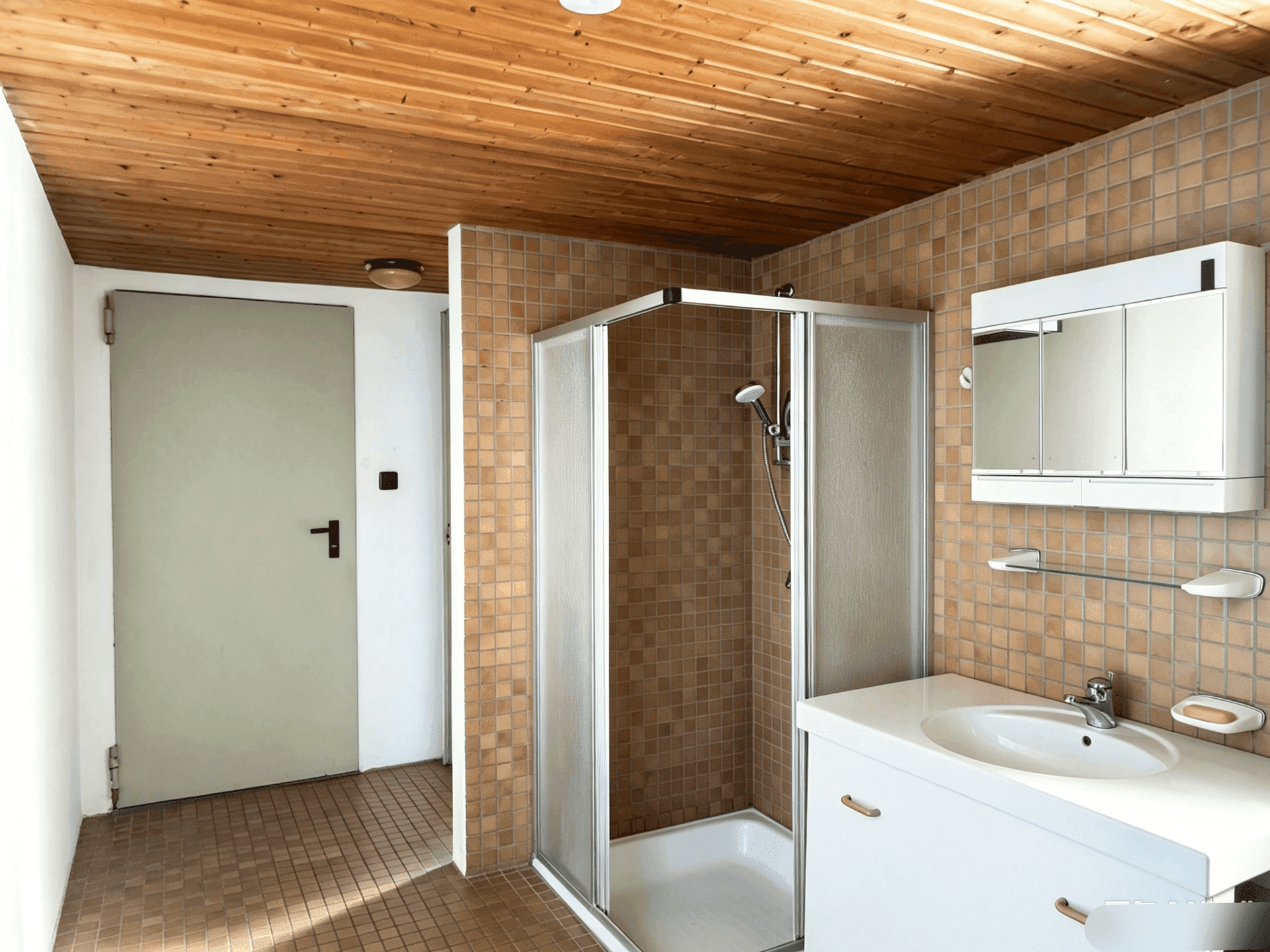 Badezimmer mit Duschkabine, Waschbecken, Spiegelschrank und Holzdecke.