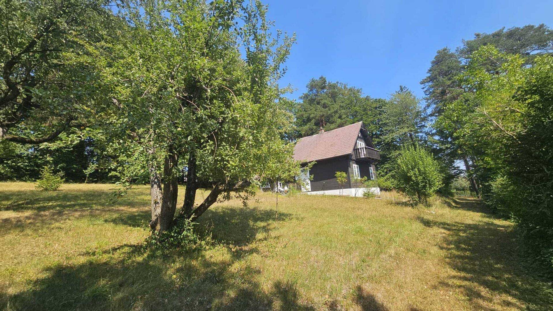 Ein charmantes Holzhaus mit Satteldach, umgeben von einer weitläufigen Wiese und hohen Bäumen.