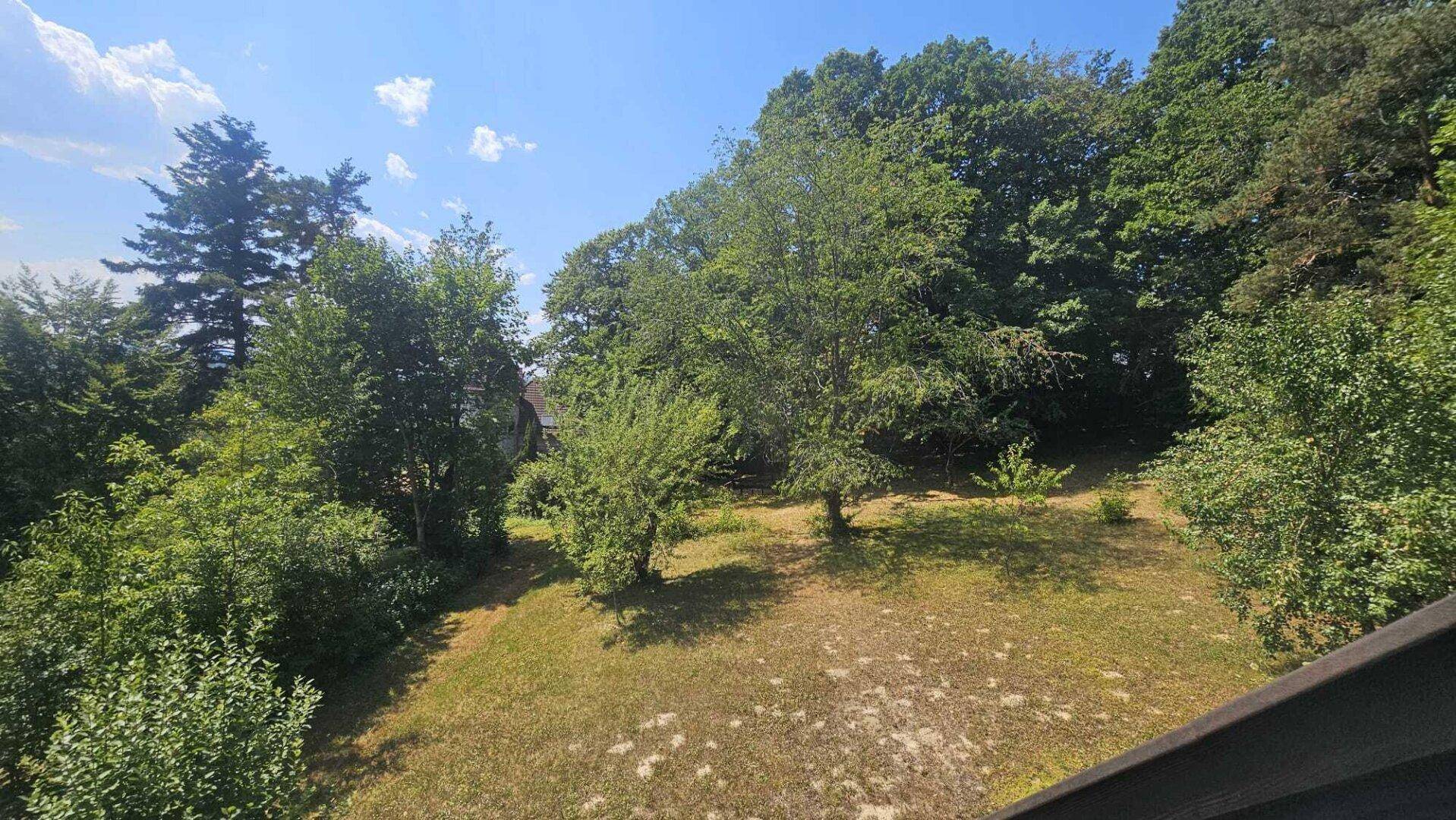 Eine weite Grünfläche umgeben von dichtem Baumbestand unter einem klaren, blauen Himmel.