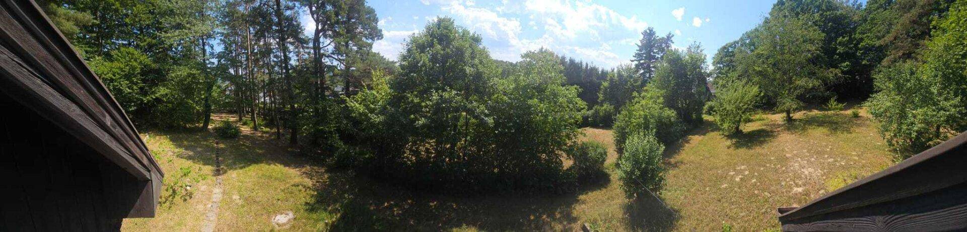 Panoramablick auf das weitläufige, bewaldete Grundstück mit viel Grün und einem sonnigen Himmel.