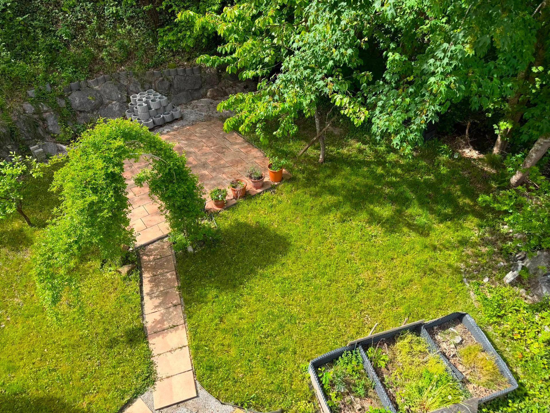 Grüner Garten mit Rasenfläche, gepflastertem Bereich und Bepflanzung.