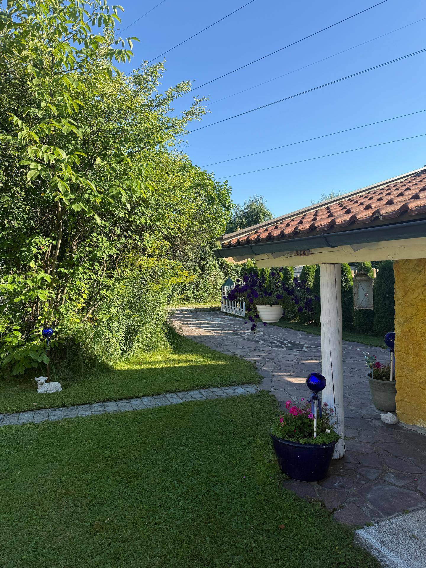 Grüner Gartenbereich mit gepflastertem Weg und blühenden Pflanzen unter blauem Himmel.