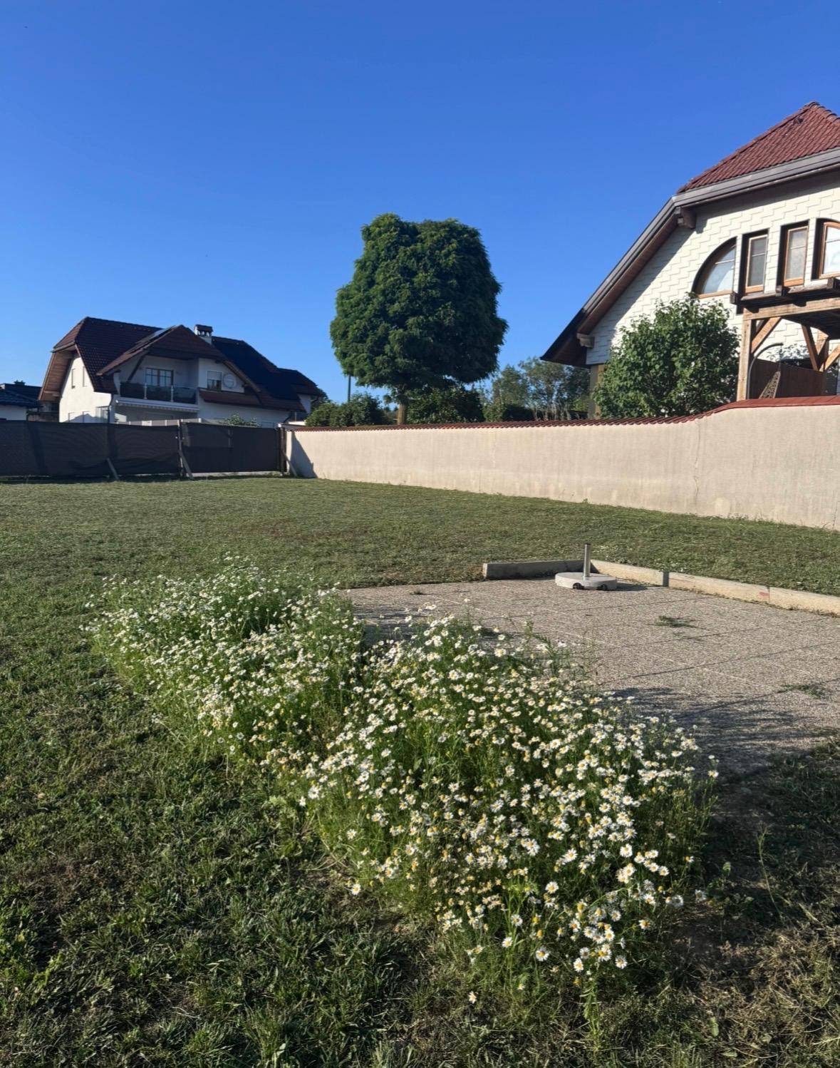 Gartenbereich mit weißen Blumenbeeten und einem gepflasterten Weg, umgeben von Wohnhäusern.