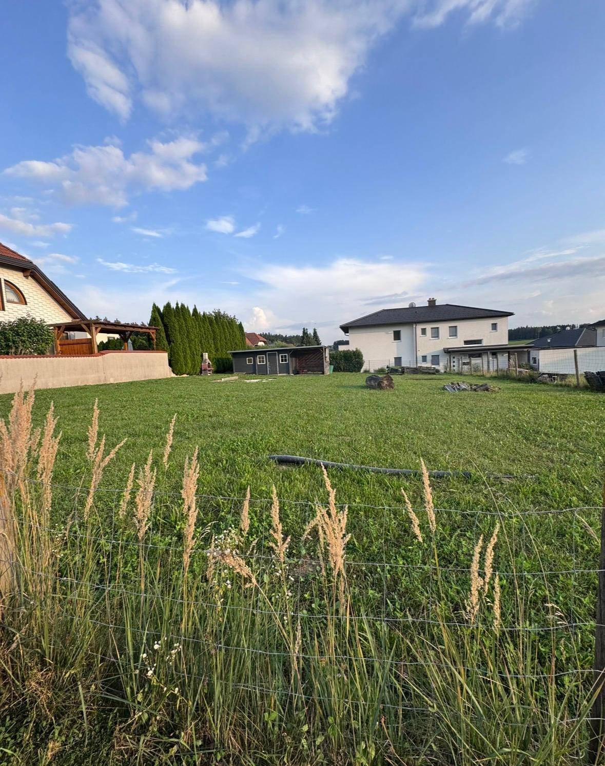 Weitläufige Rasenfläche mit hohen Gräsern im Vordergrund und Wohnhäusern sowie einem Gartenhaus in der Ferne.