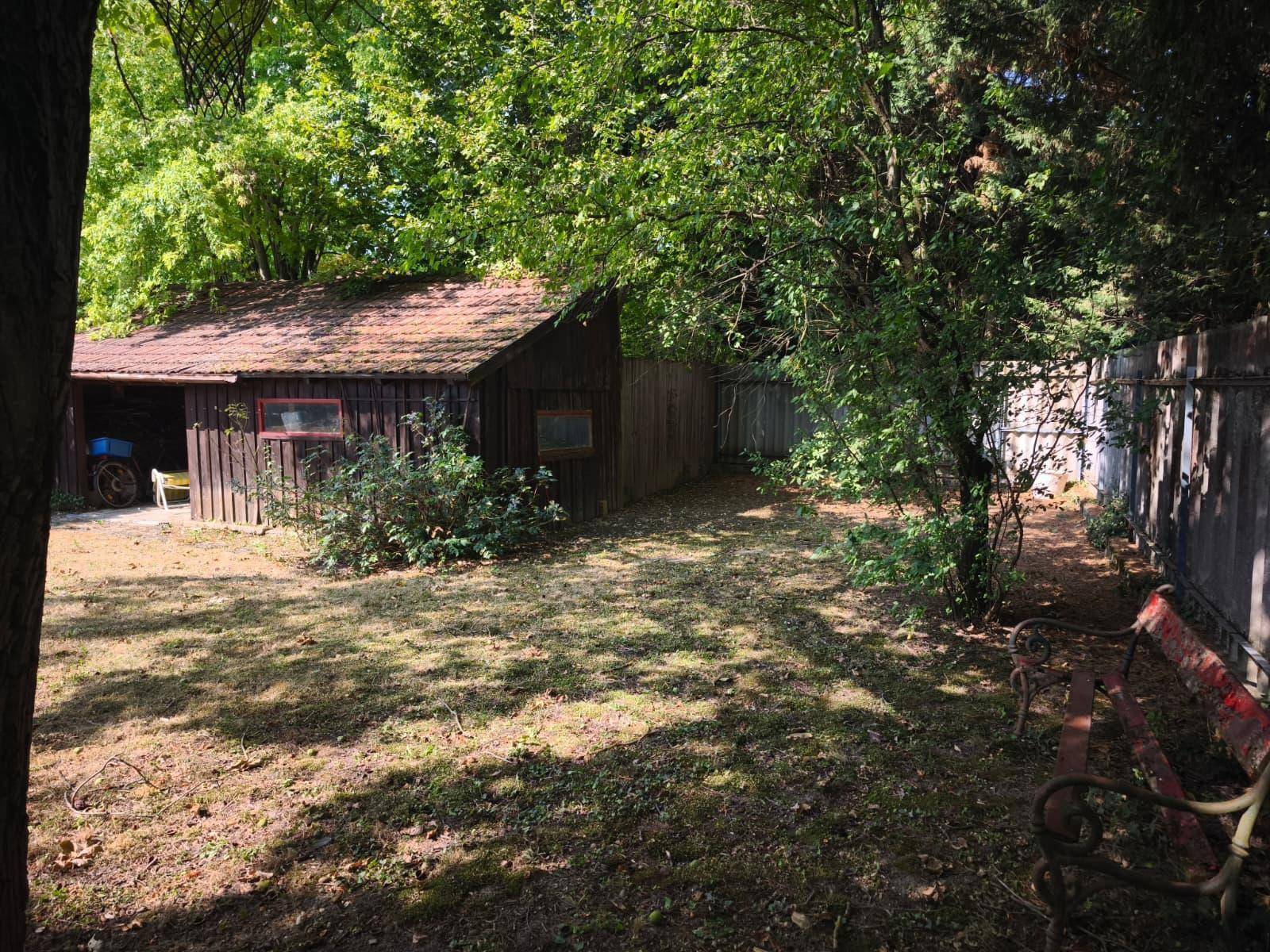 Ruhiger Gartenbereich mit Holzschuppen, einer alten Gartenbank und üppiger Vegetation.