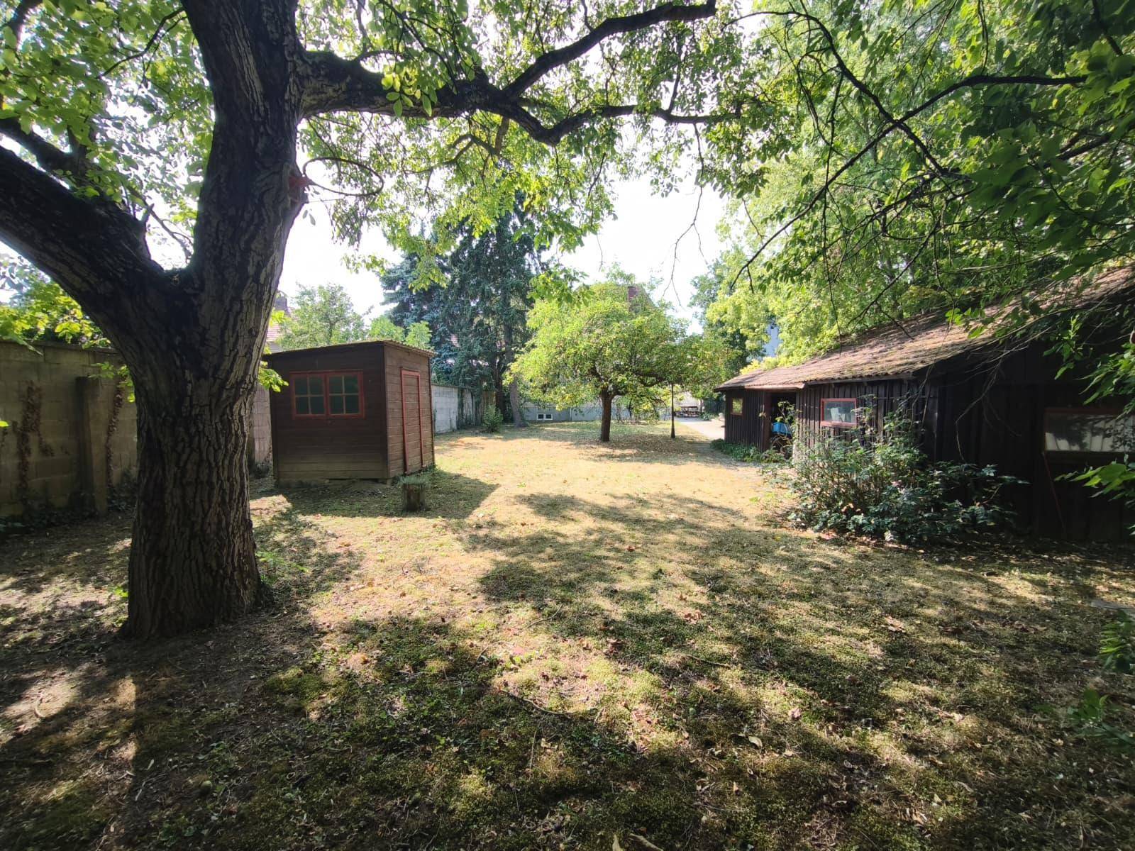 Sonnige Gartenlandschaft mit mehreren Bäumen, weitläufiger Rasenfläche und zwei Holzschuppen.