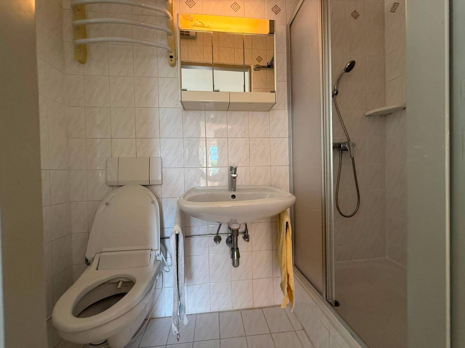 Badezimmer mit Toilette, Waschbecken, Spiegelschrank und einer Duschkabine.