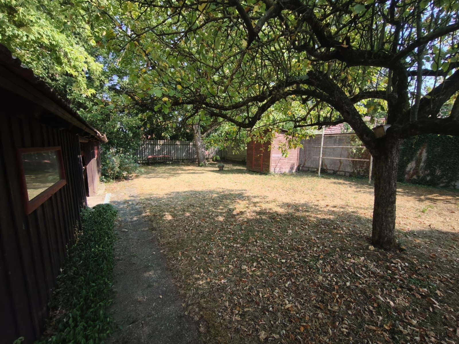 Weitläufiger Gartenbereich mit altem Obstbaum, Rasenfläche und weiteren Nebengebäuden im Hintergrund.
