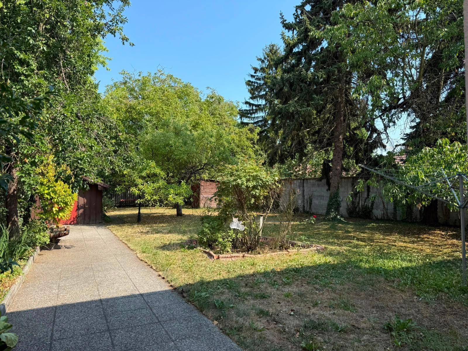 Großer, grüner Garten mit Rasenfläche, alten Bäumen und einem gepflasterten Weg zum Gartenhaus.