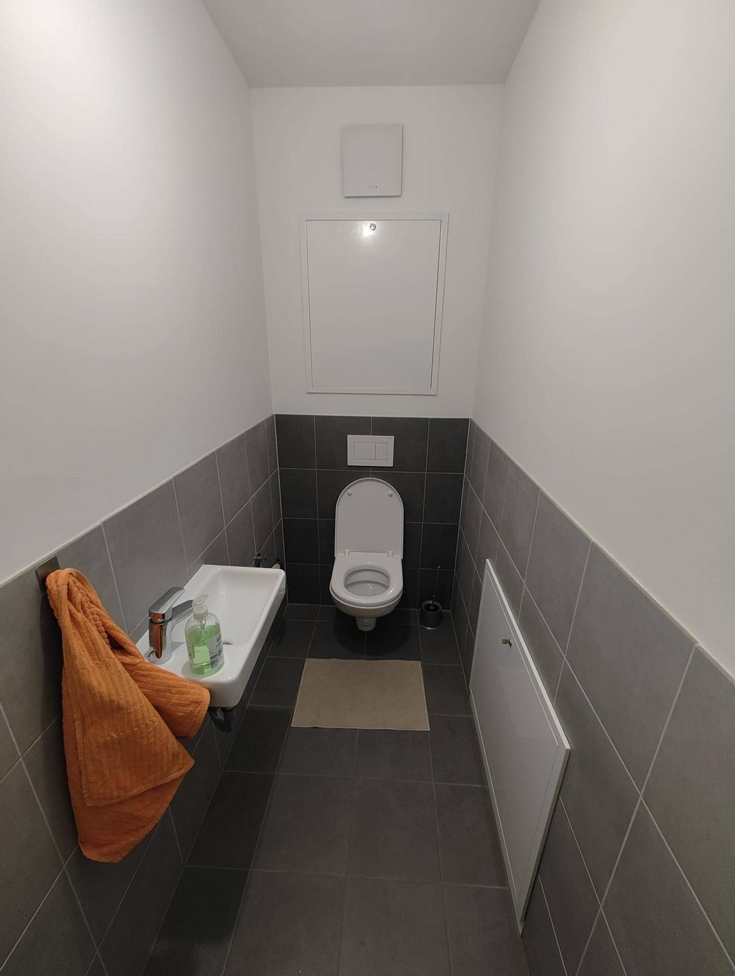 Modernes Gäste-WC mit Wand-WC, kleinem Waschbecken und grauen Fliesen.