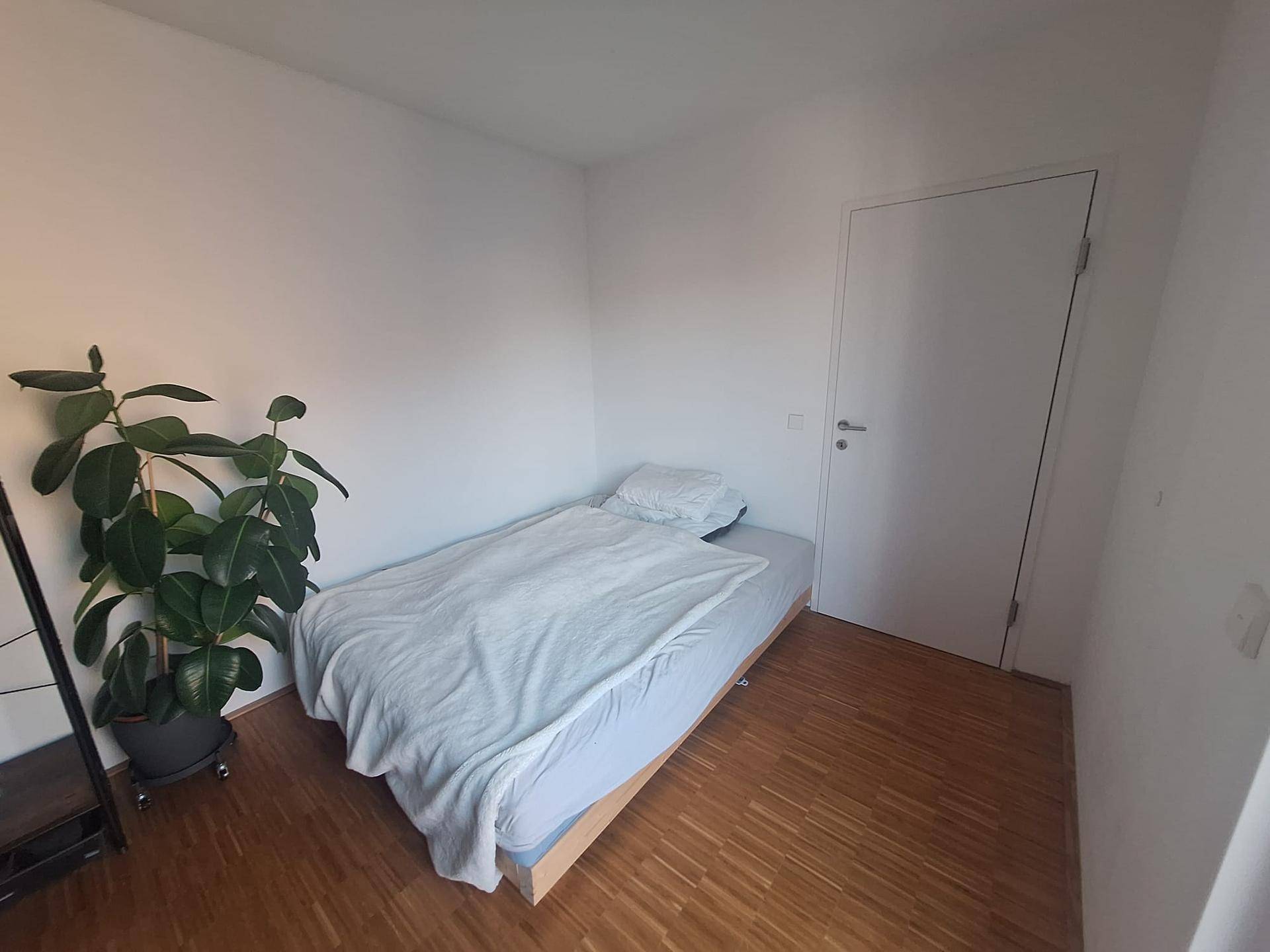 Gemütliches Schlafzimmer mit Holzboden und einer großen Zimmerpflanze, ideal als Gästezimmer.