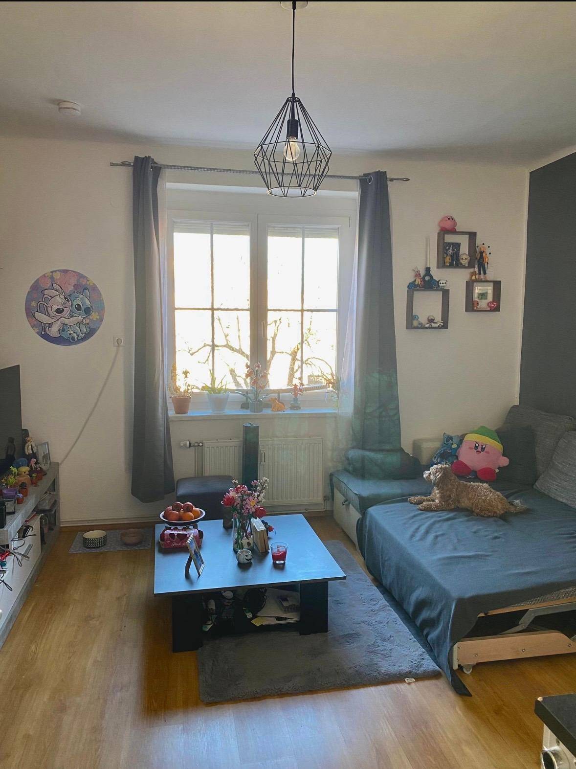 Gemütliches Wohnzimmer mit Sofa, Couchtisch und Fenster, das viel Tageslicht hereinlässt.