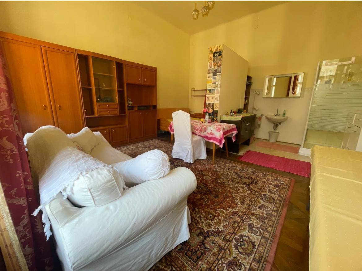 Geräumiger Wohnbereich mit Sofa, Holzschrank und integriertem Duschbereich im Hintergrund.