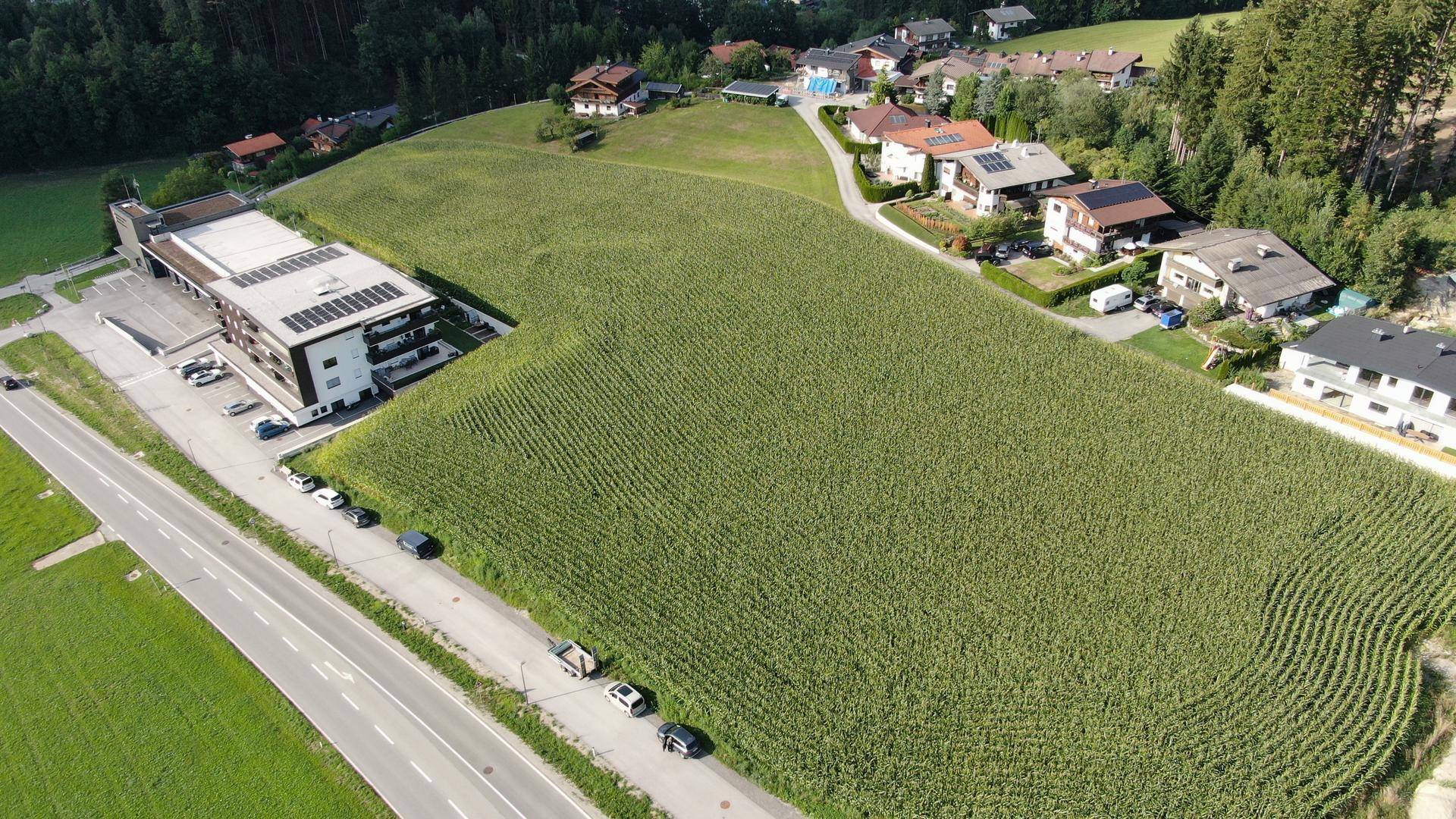 Übersicht aus der Luft mit einer Straße, weiten Maisfeldern und mehreren Gebäuden, darunter ein großes mit Solaranlage.