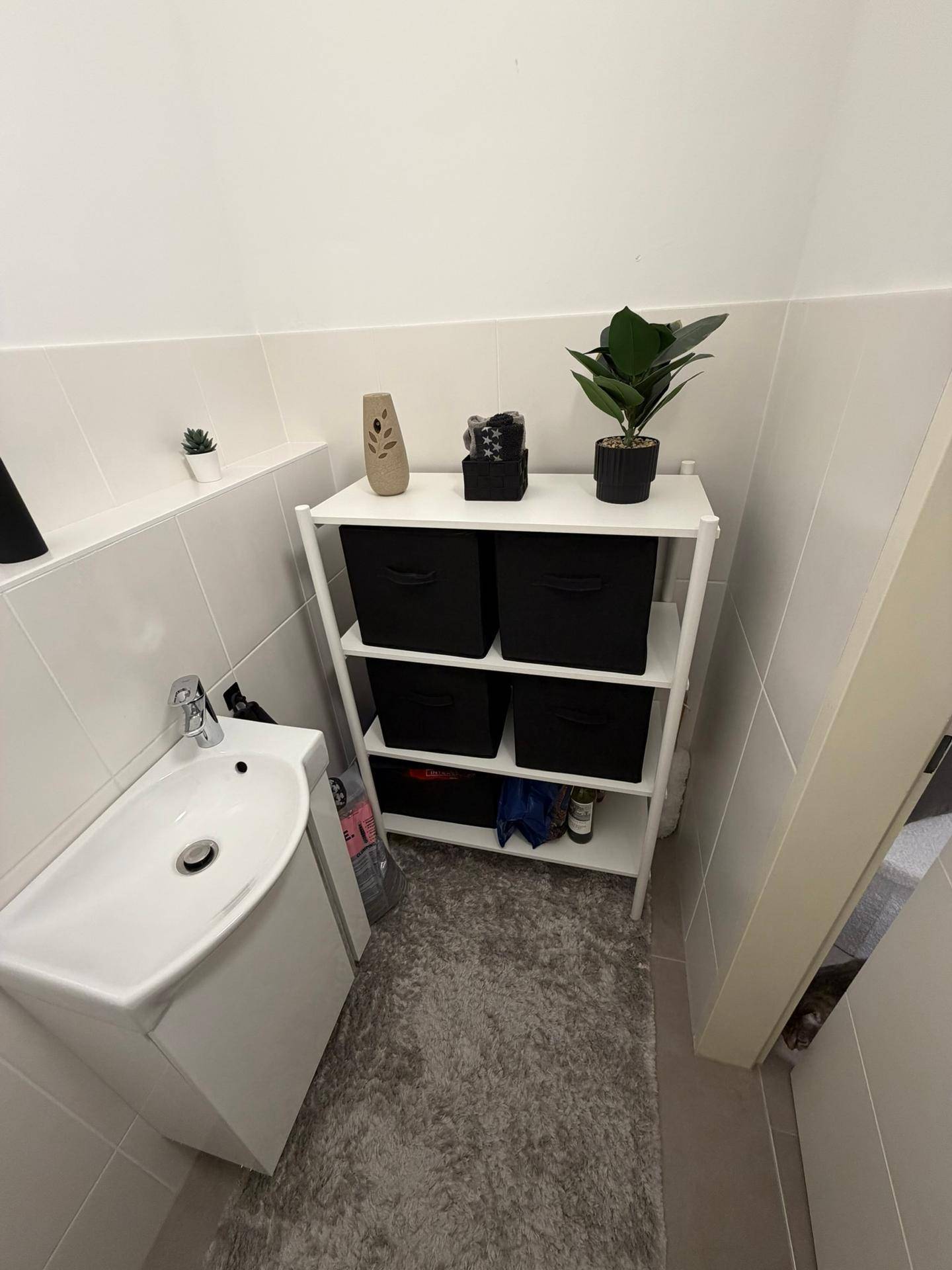 Kleines Badezimmer mit Waschbecken und Regal für Badutensilien.