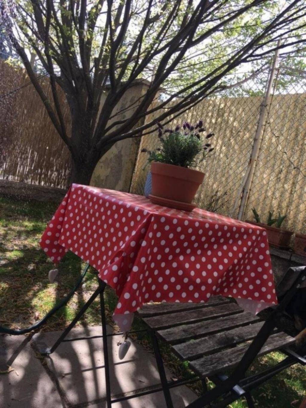 Sonniger Gartenbereich mit einem Tisch, Stühlen und einer Topfpflanze unter einem schattenspendenden Baum.