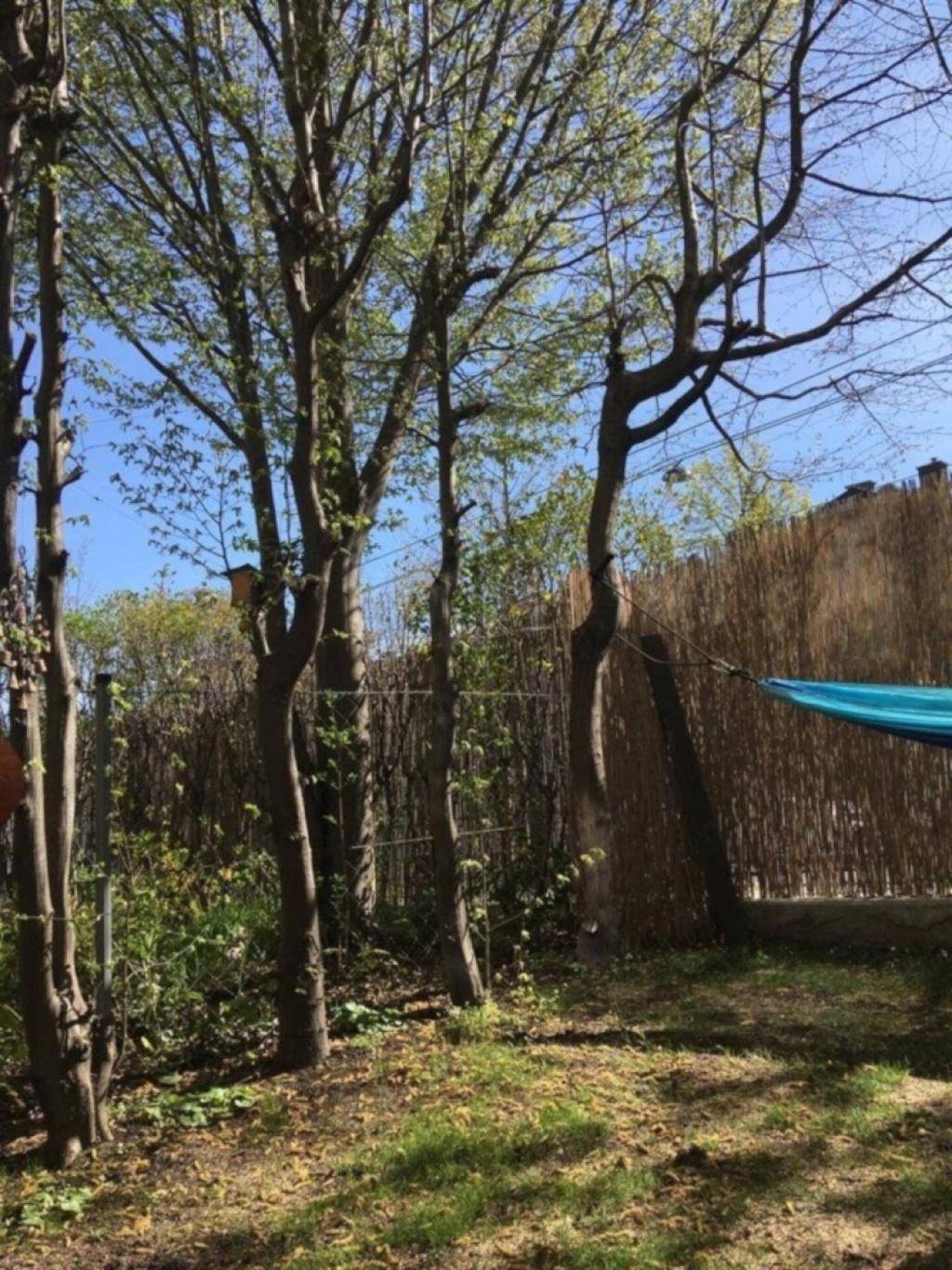 Grüner Gartenbereich mit hohen Bäumen, natürlicher Bepflanzung und einem Hängemattenbereich zur Entspannung.