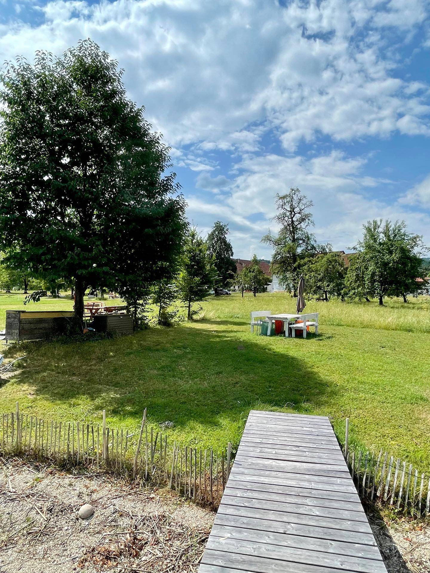 Grüne Wiese mit vereinzelten Bäumen und einer Sitzgruppe im Freien, unter blauem Himmel.