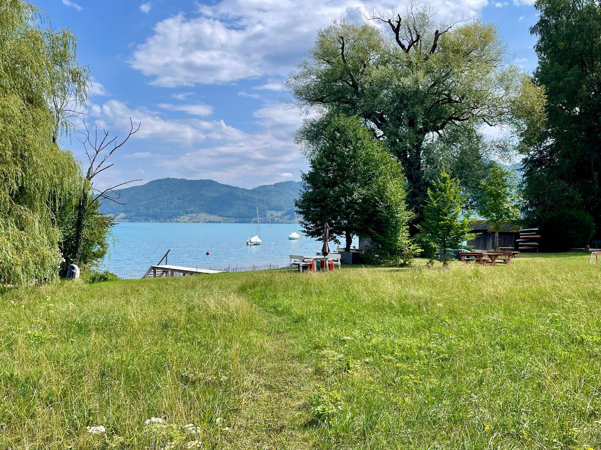 Große grüne Wiese mit alten Bäumen und einem Pfad, der zum See mit Bergblick führt.
