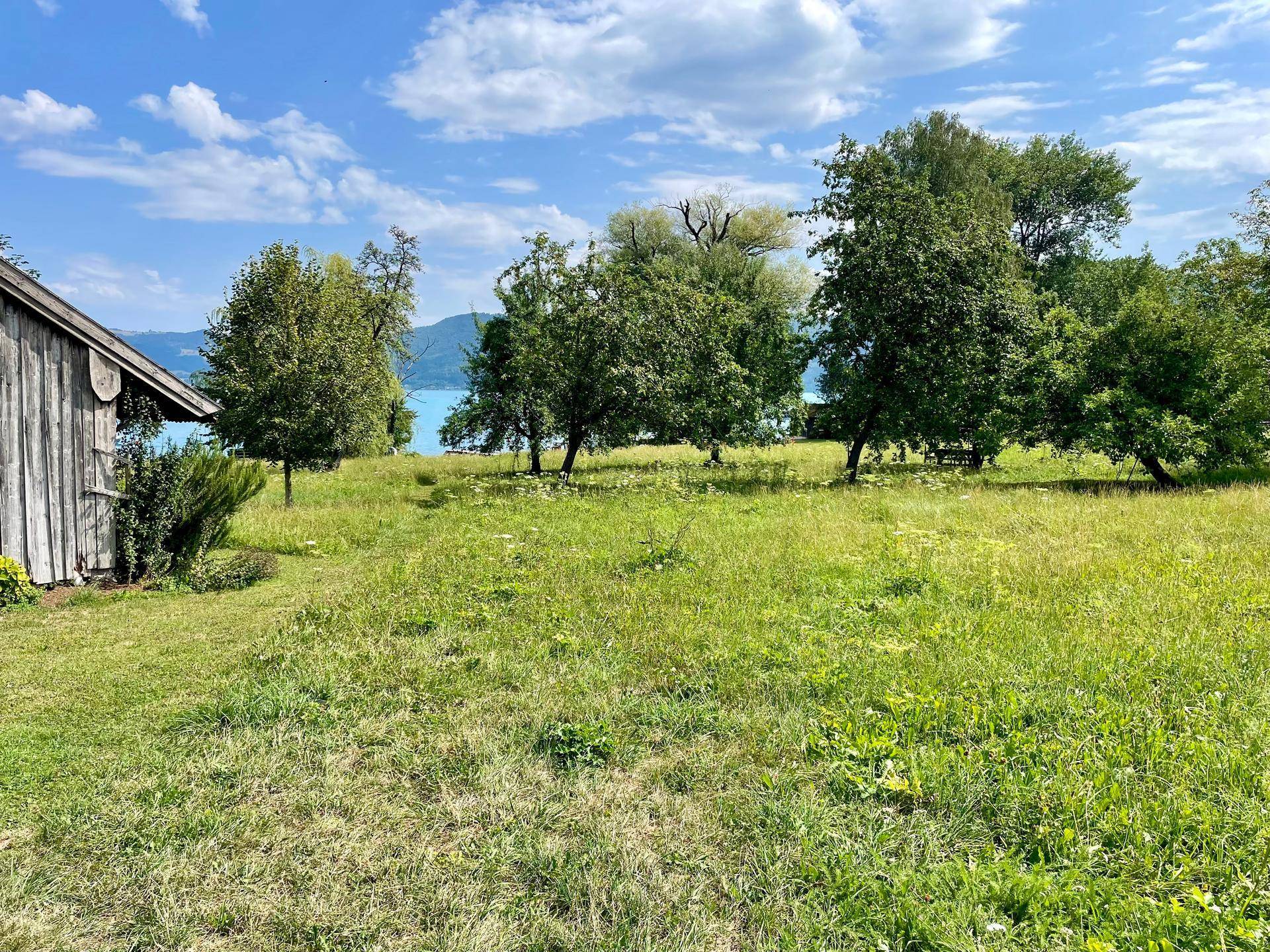 Weitläufige grüne Wiese mit einem Holzschuppen und Bäumen, mit Blick auf den See in der Ferne.