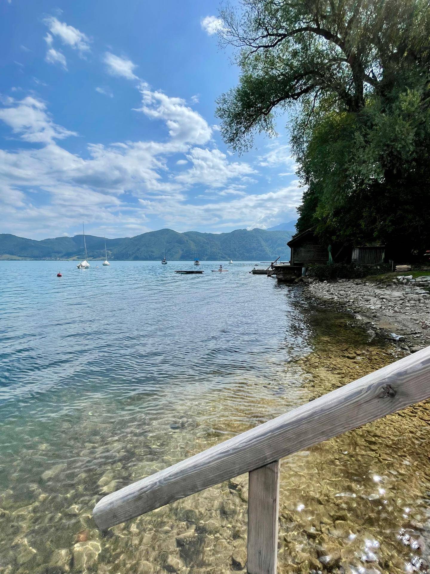 Blick vom Holzsteg auf den ruhigen See mit Segelbooten, einem Bootshaus und üppiger Ufervegetation.
