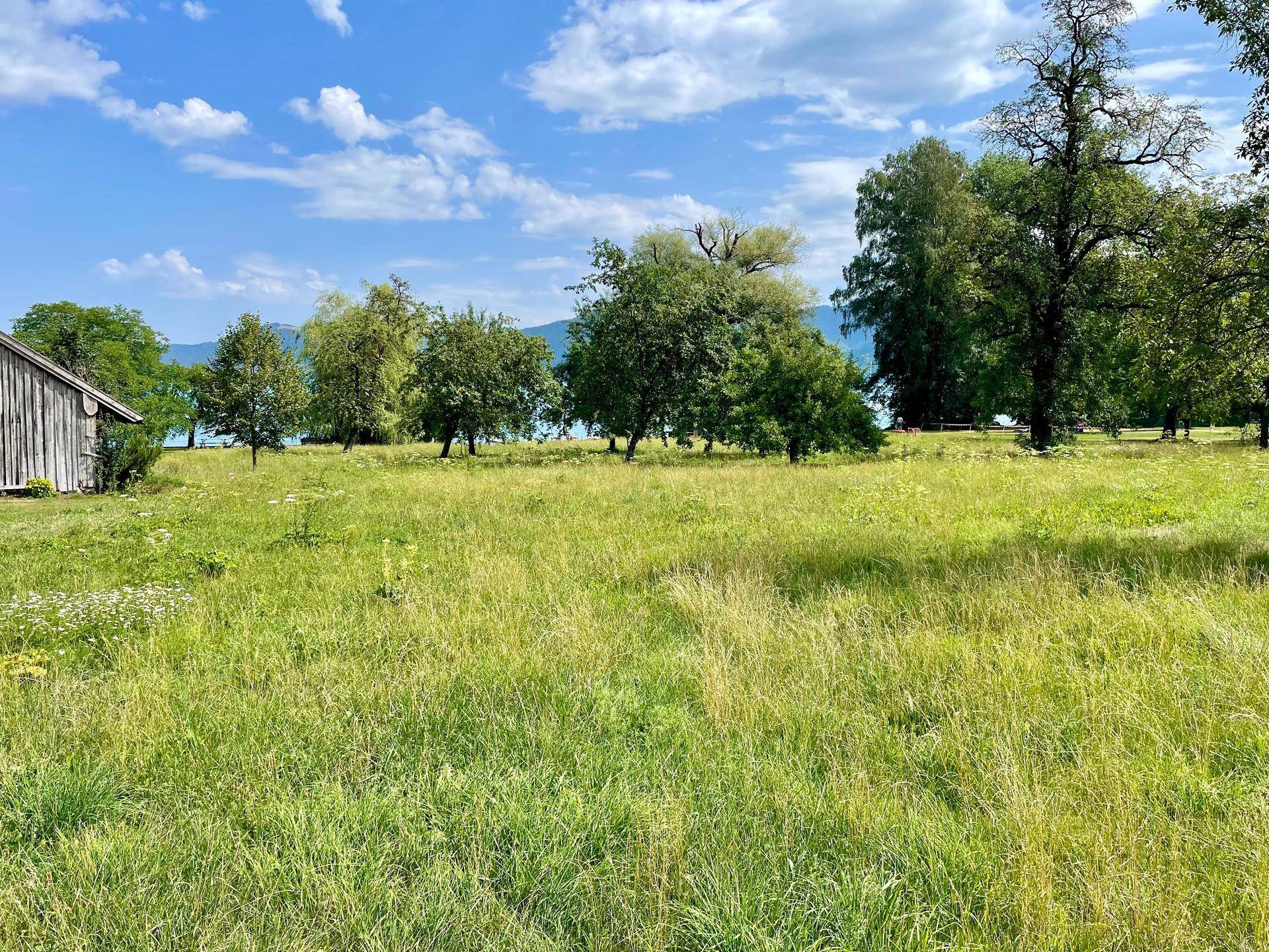 Weitläufige grüne Wiese mit einem Holzschuppen und Bäumen, mit Blick auf den See in der Ferne.