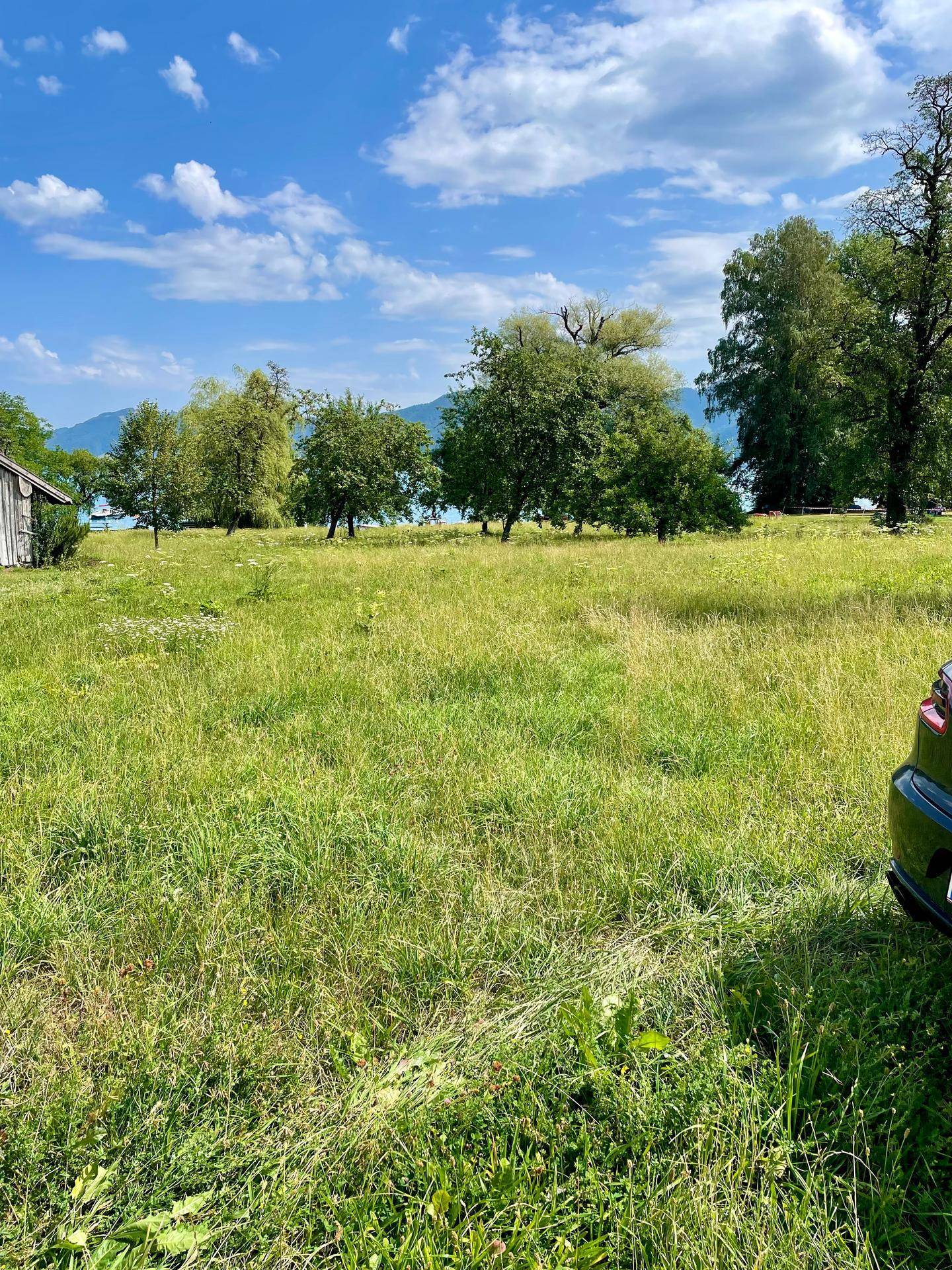 Grüne Wiese mit einem Holzschuppen und Bäumen, mit Blick auf den See und ein geparktes Auto.