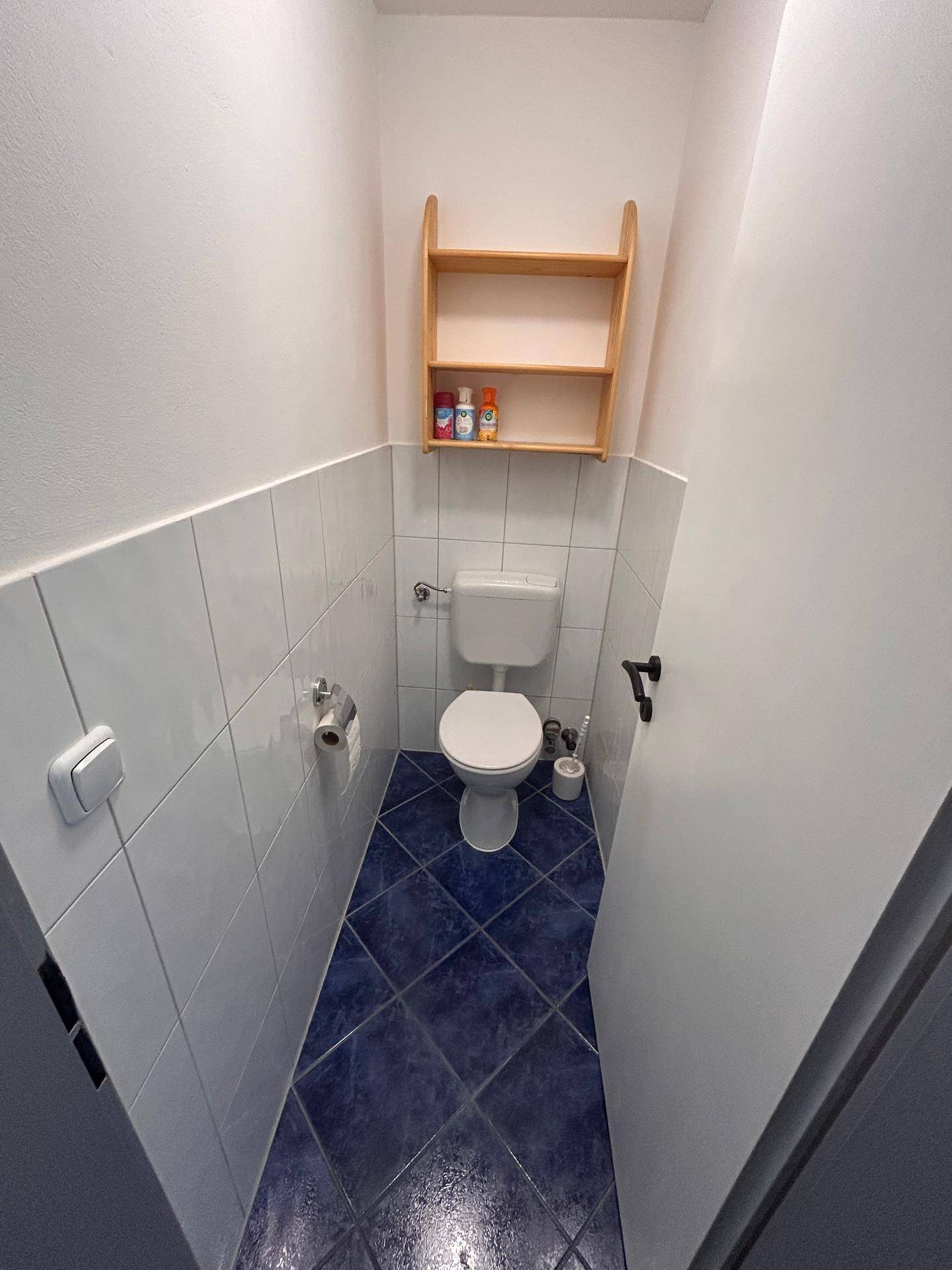 Separates WC mit blauen Bodenfliesen und weißen Wandfliesen, funktional und sauber.