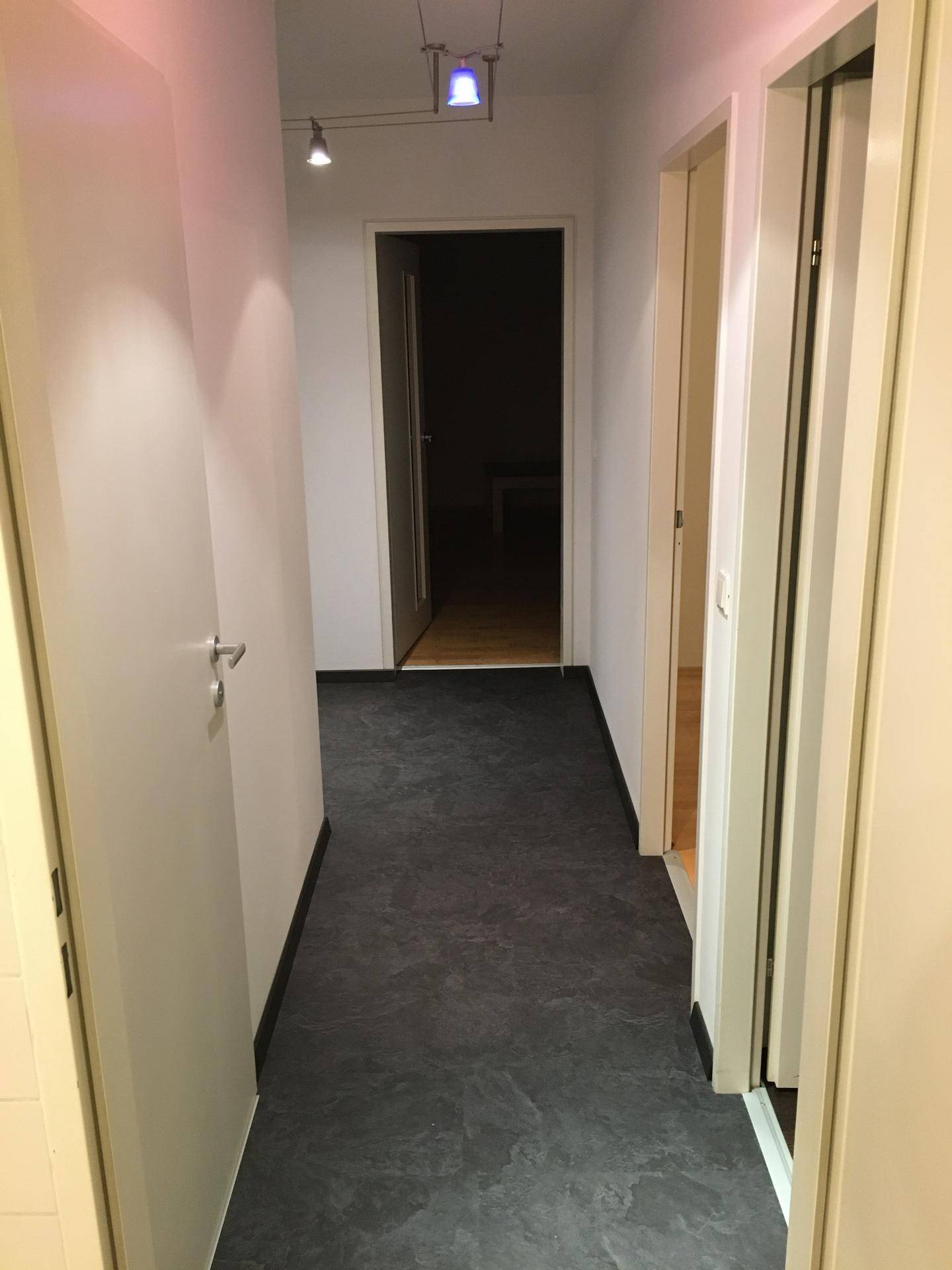 Langer Flur mit dunklem Boden, weißen Wänden und mehreren Türen zu angrenzenden Räumen.