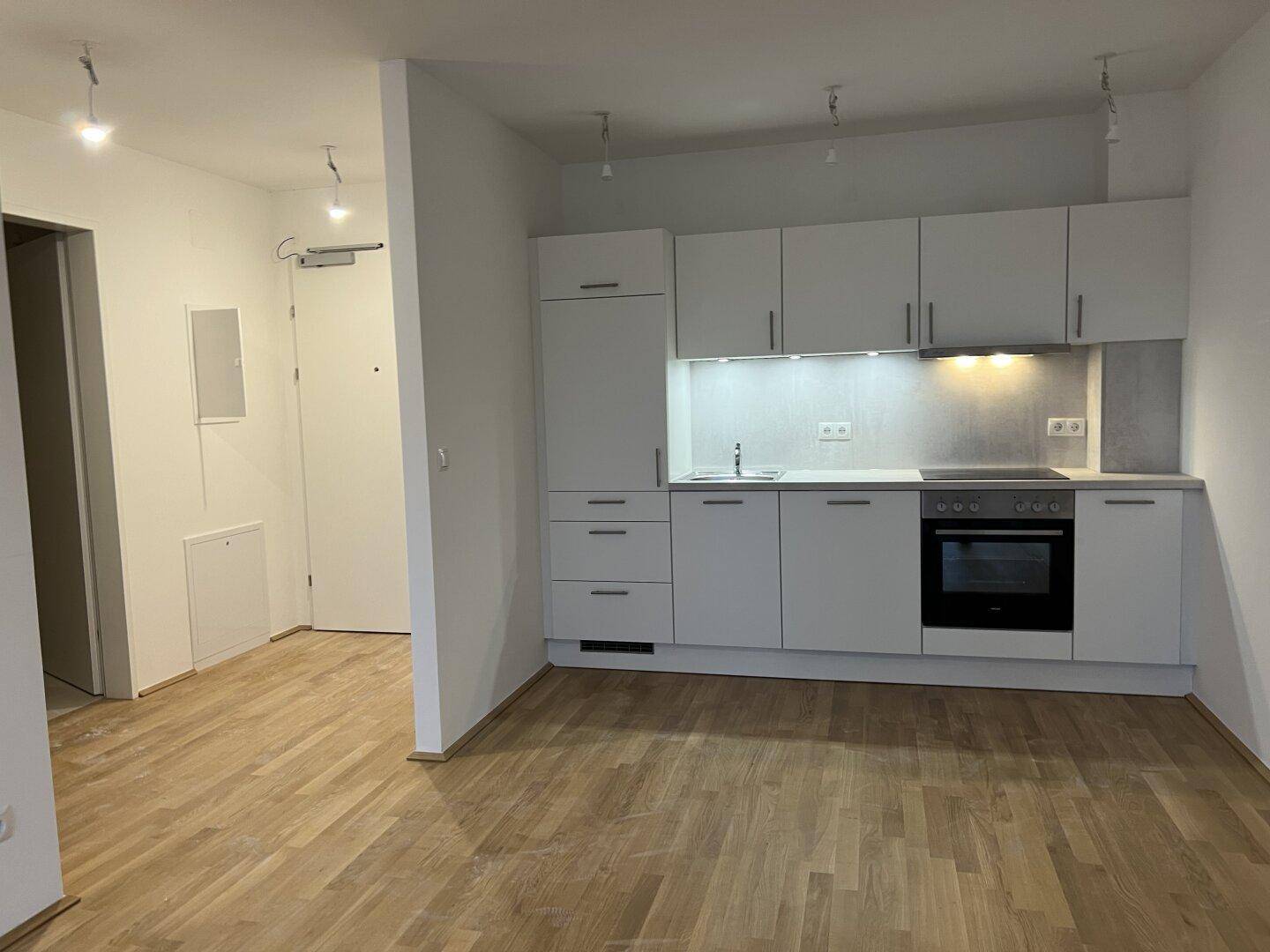 Offener Wohnbereich mit moderner Einbauküche, Holzboden und Blick zum Eingangsbereich.