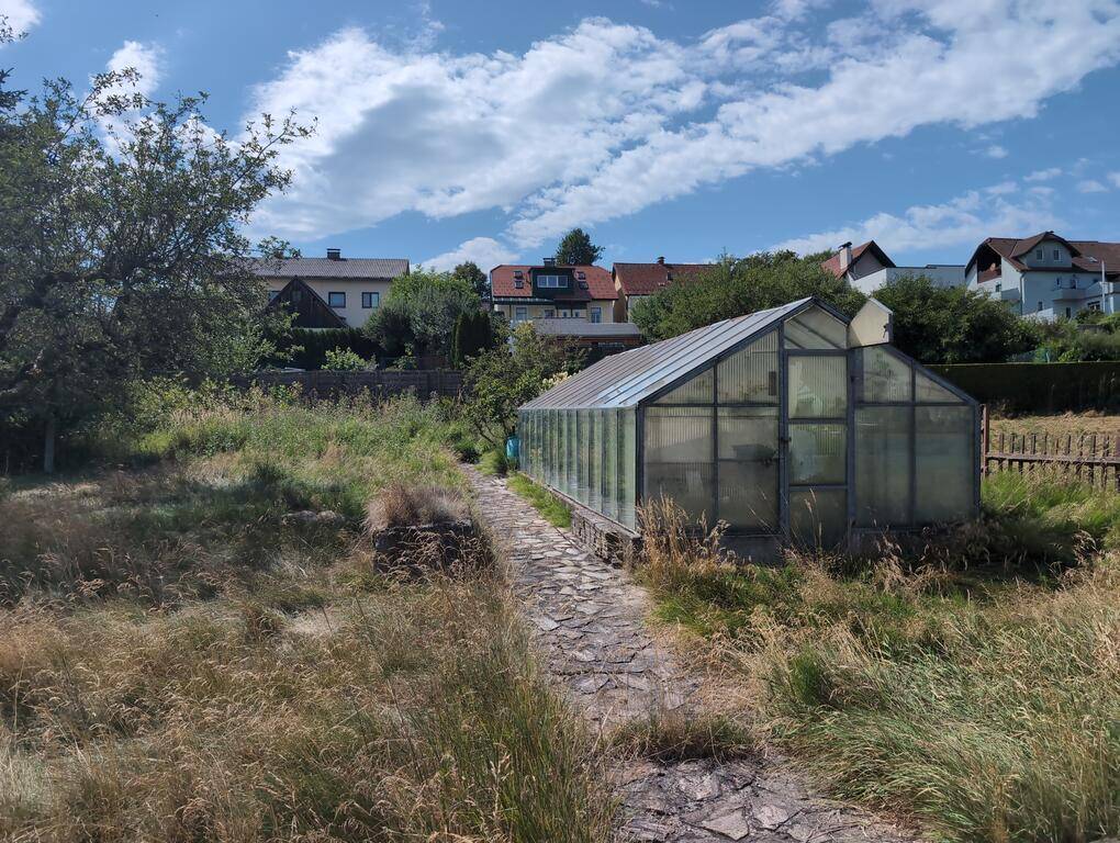 Großer Gartenbereich mit Gewächshaus, Natursteinweg und üppiger Vegetation unter blauem Himmel.