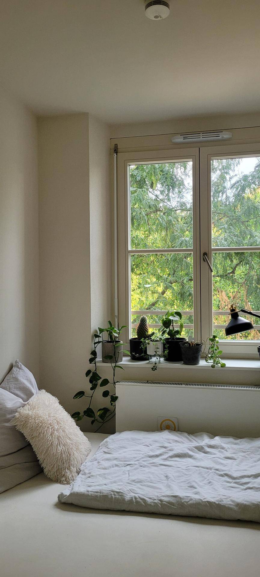 Helles Schlafzimmer mit großem Fenster und Blick auf grüne Bäume.