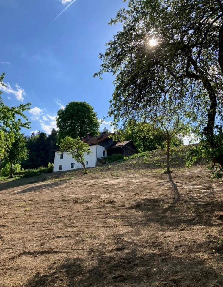 Das ländliche Haus in der Ferne, umgeben von Bäumen und Hügeln unter strahlendem Sonnenschein.