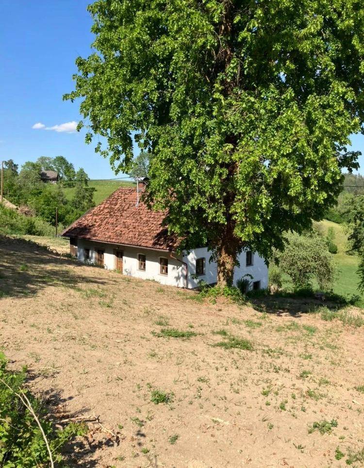 Das ländliche Haus, teilweise von einem großen Baum verdeckt, umgeben von Natur unter blauem Himmel.