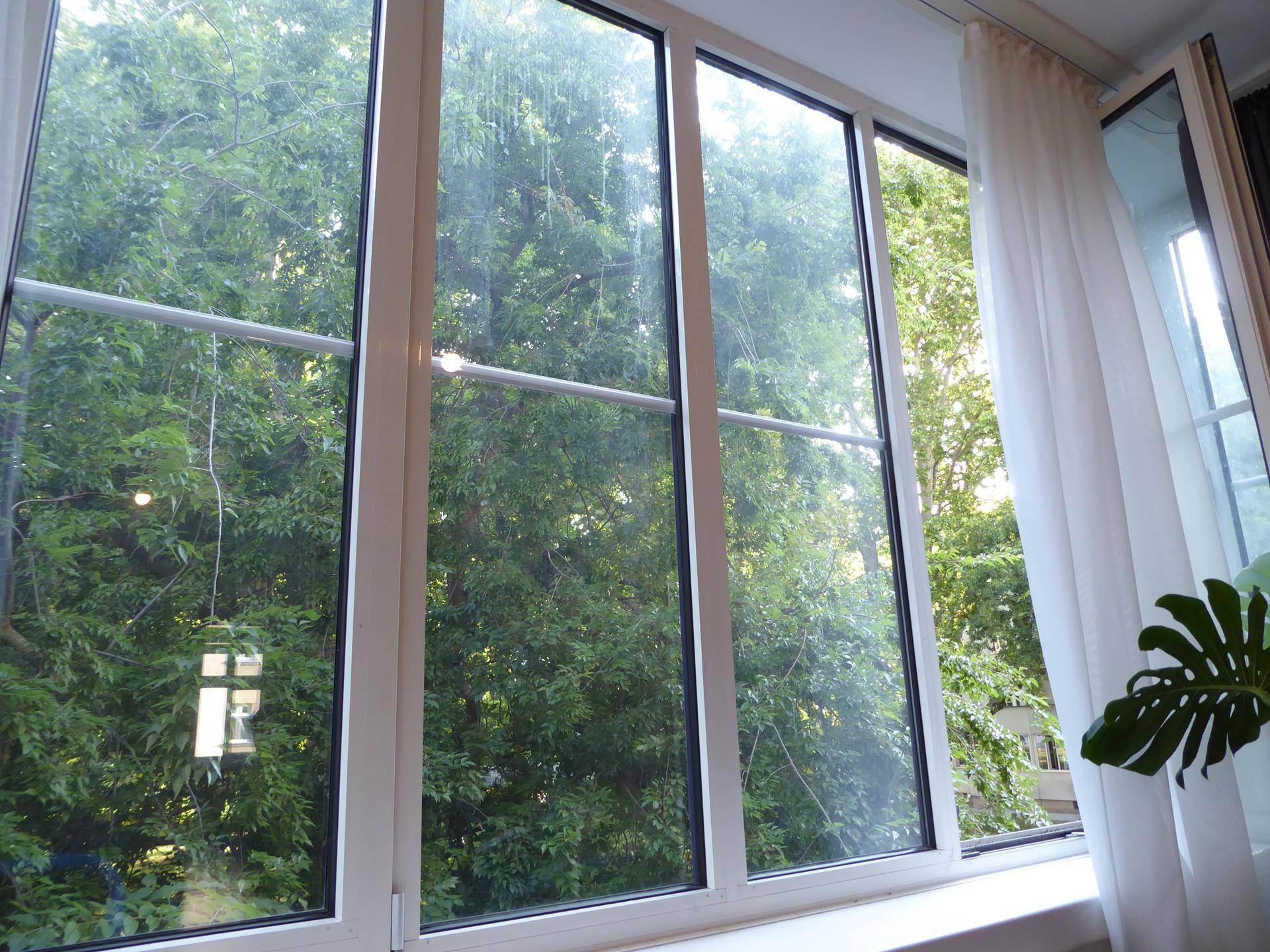 Detailansicht des großen Fensters mit Blick auf üppiges Grün und Bäume.