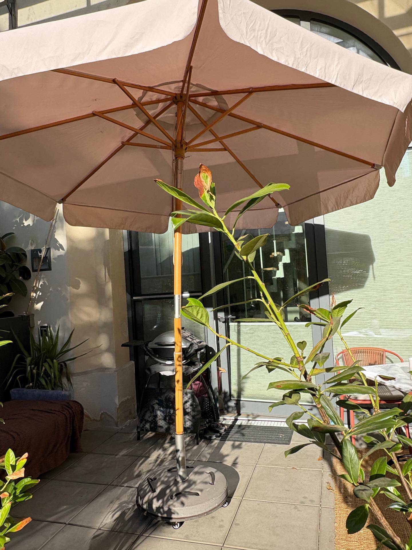 Sonniger Terrassenbereich mit großem Sonnenschirm, Pflanzen und Grill, ideal zum Entspannen.