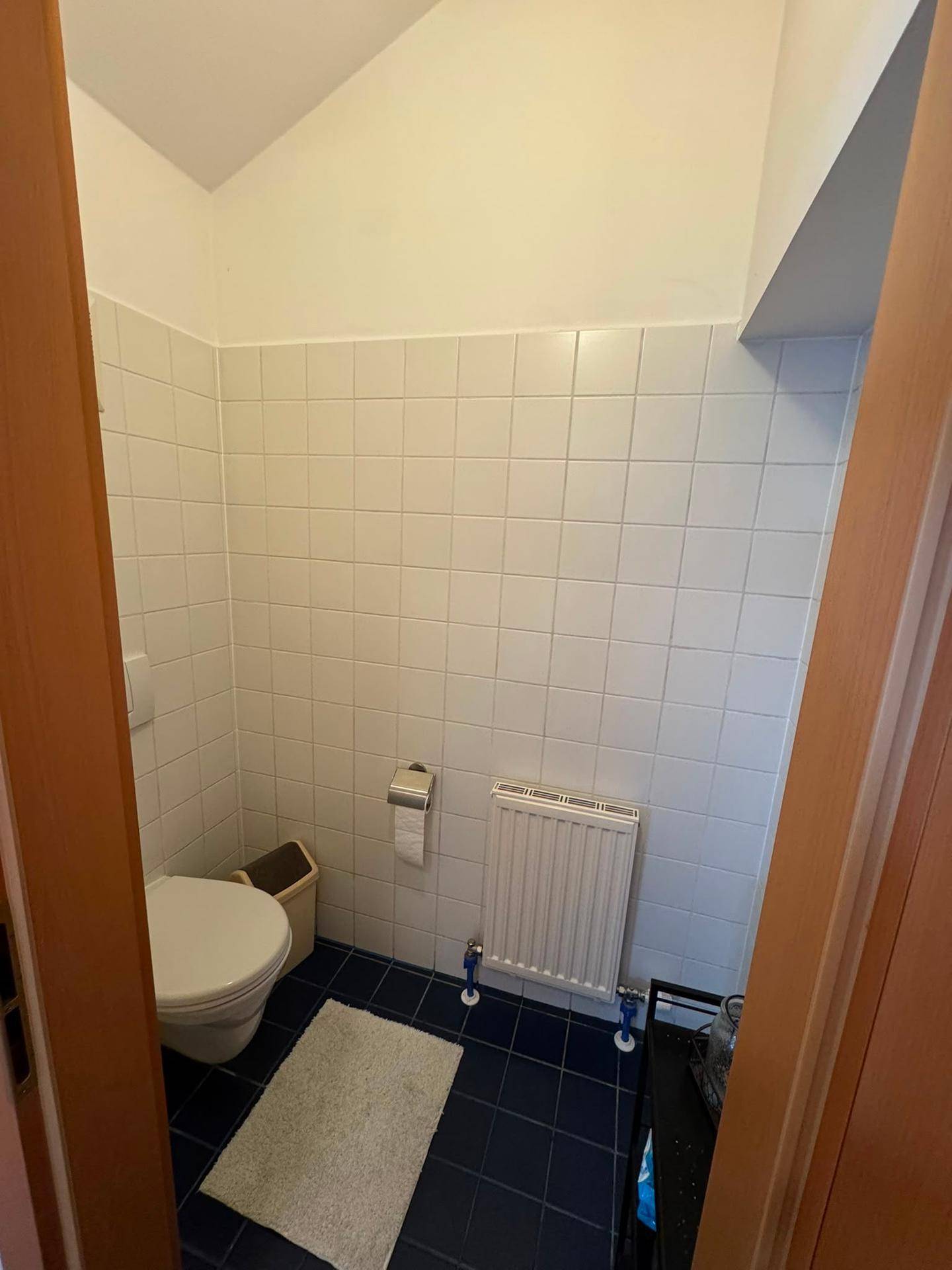 Kleines Gäste-WC mit WC, Heizkörper und blauen Bodenfliesen, praktisch und funktional.